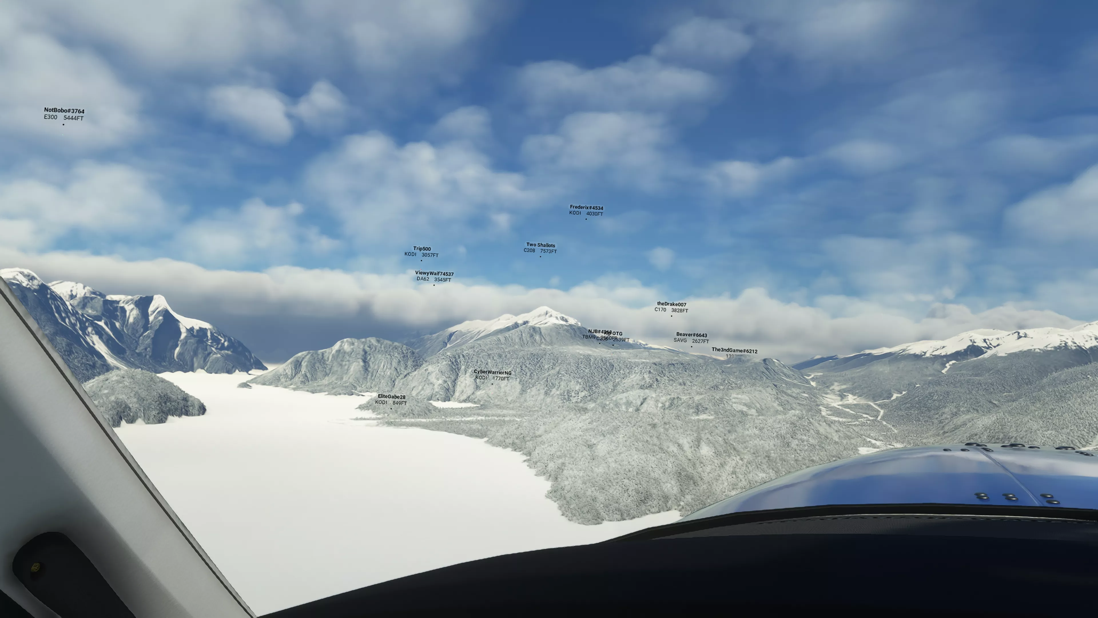 Flight Image