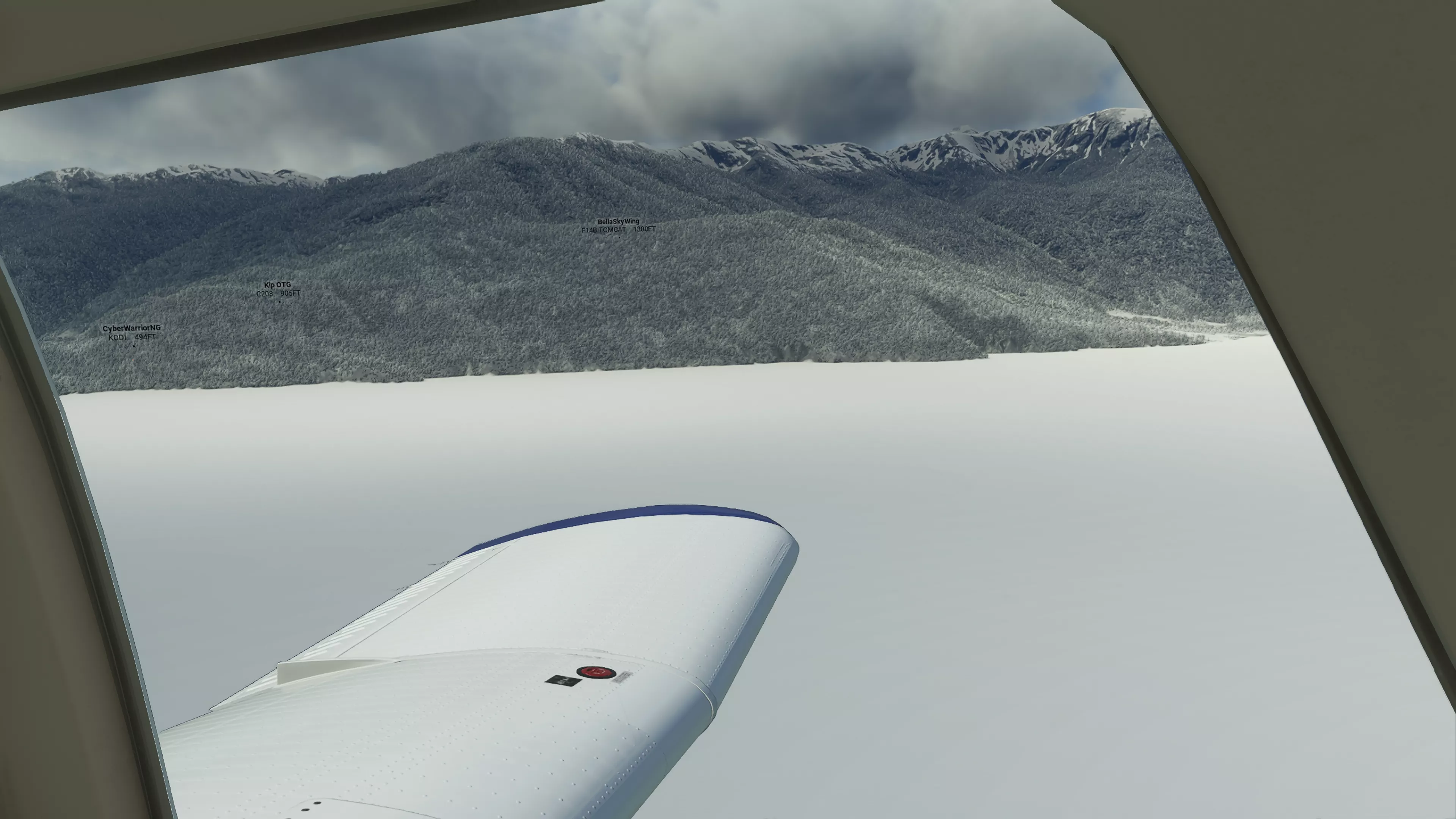 Flight Image