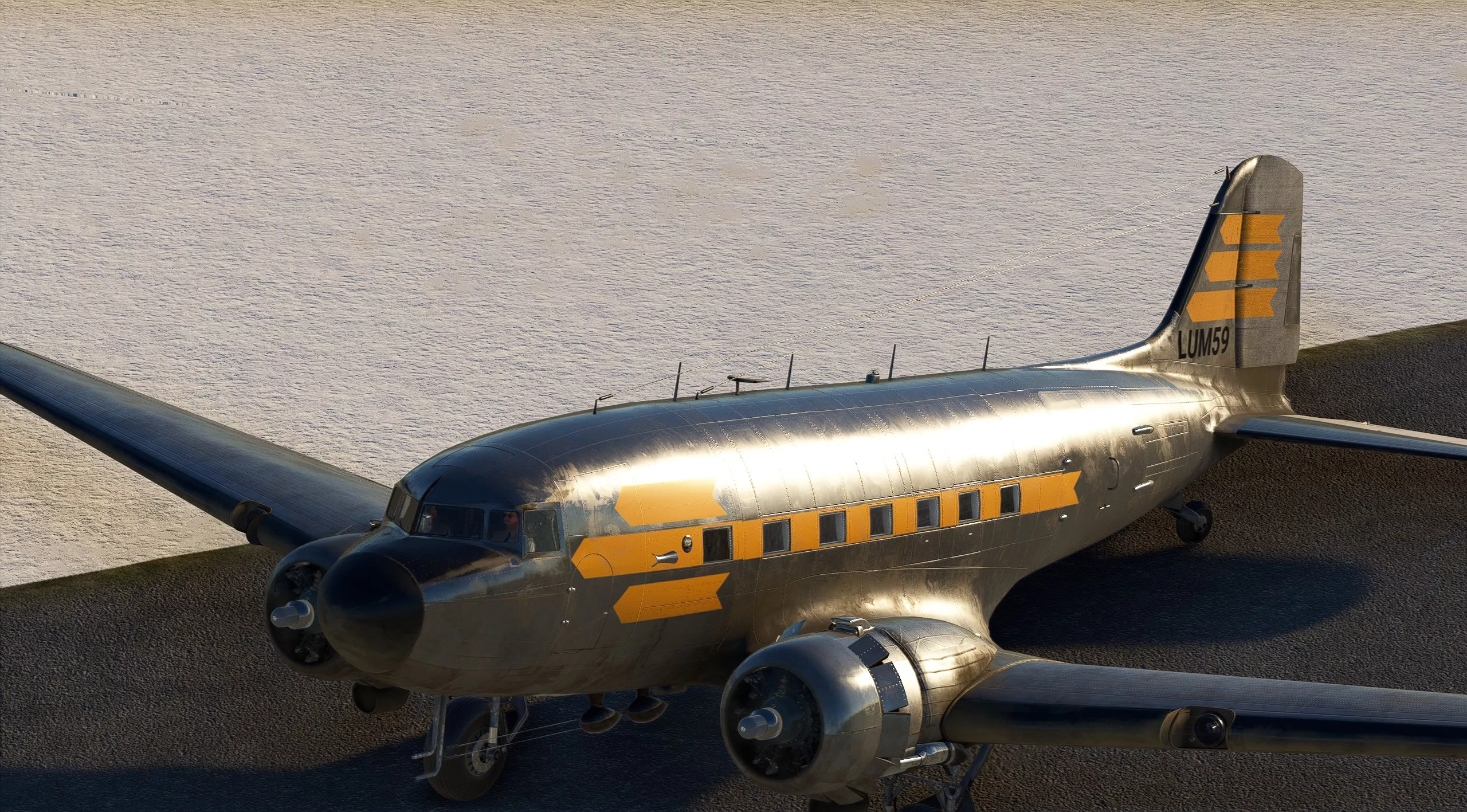 Flight Image