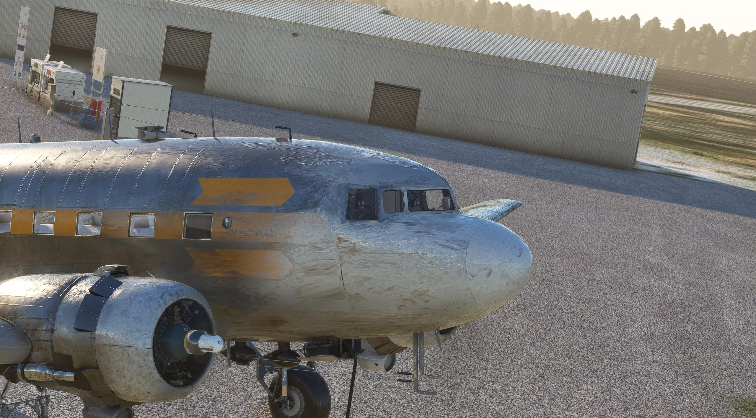 Flight Image