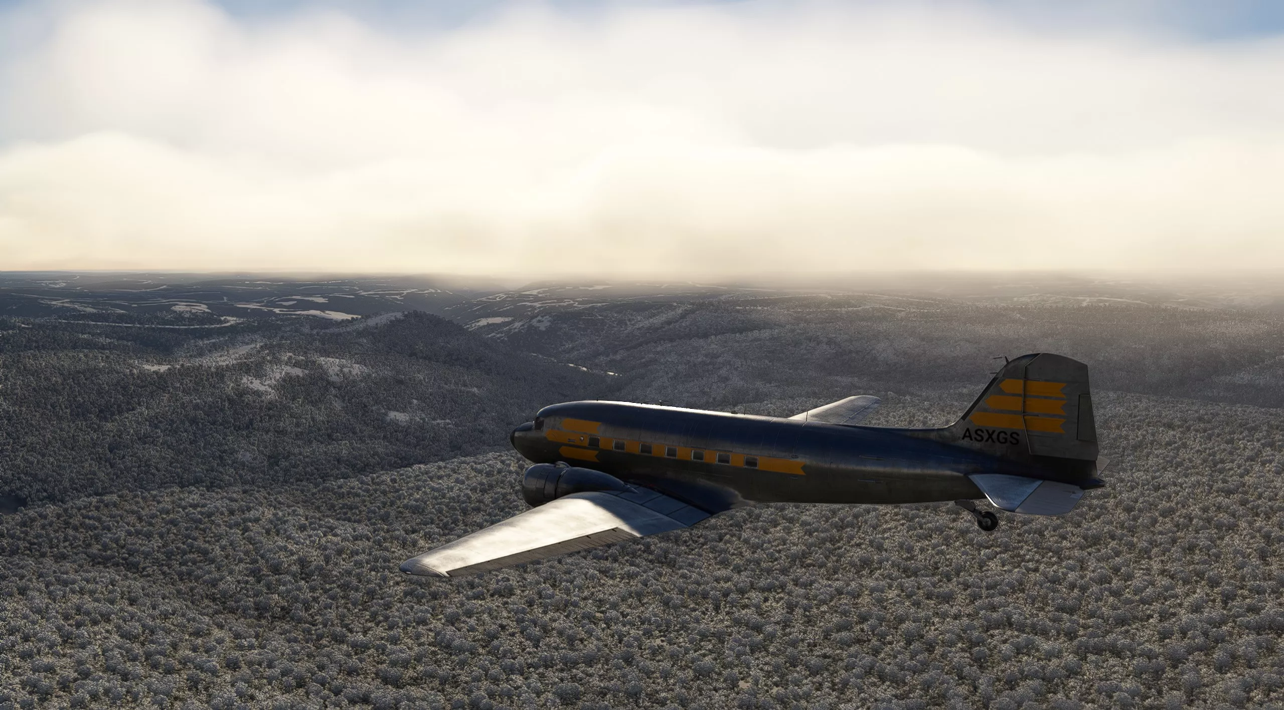 Flight Image