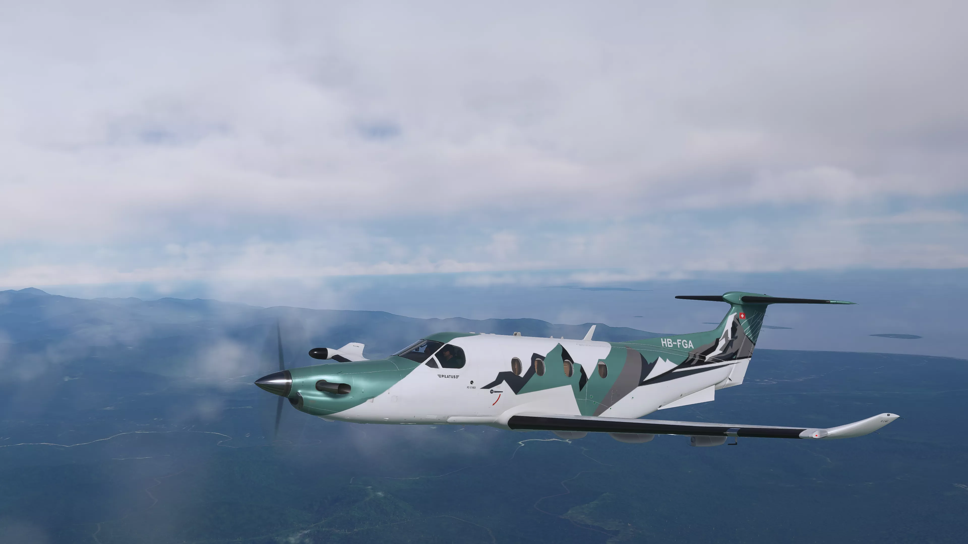 Flight Image