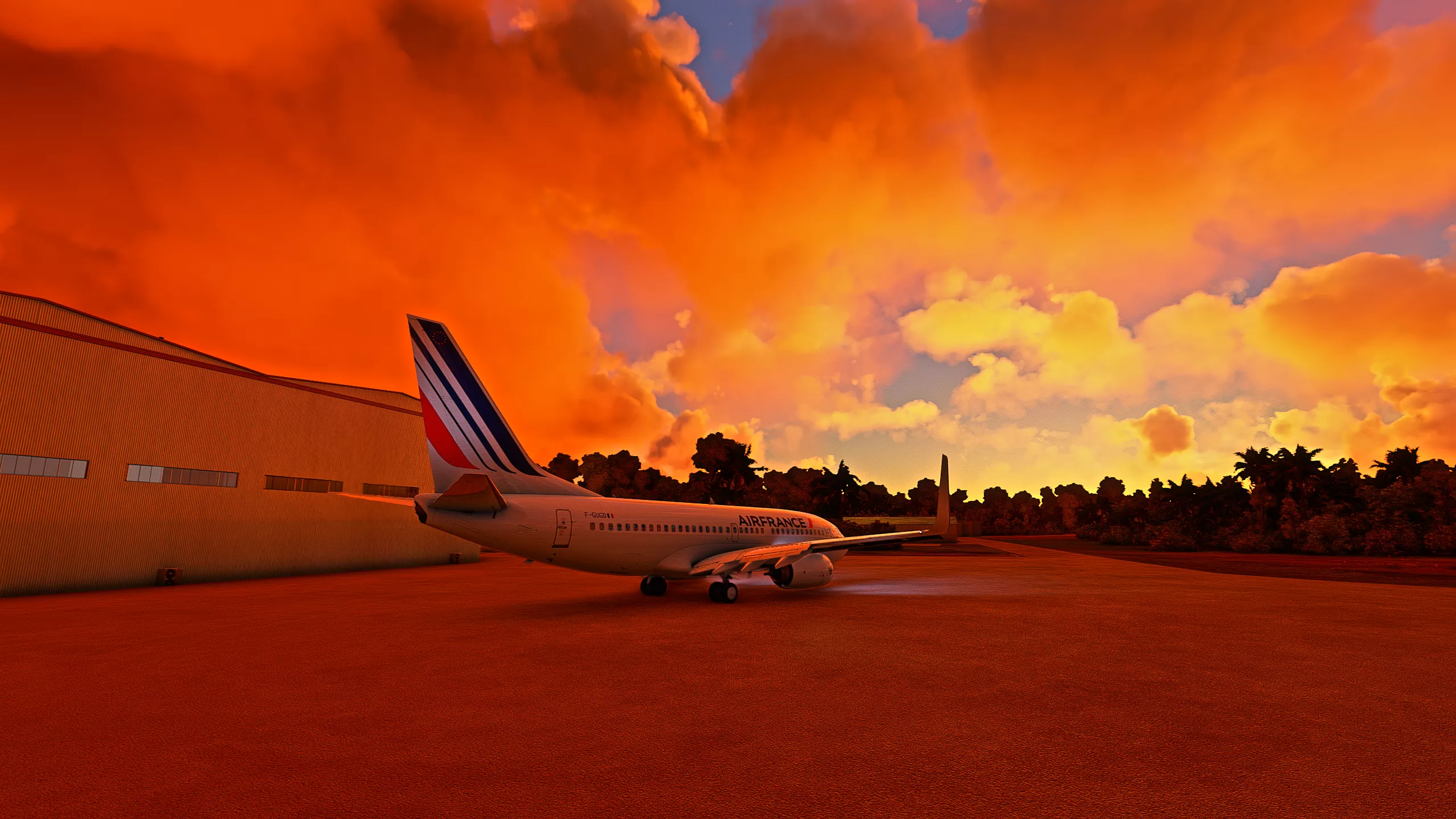 Flight Image