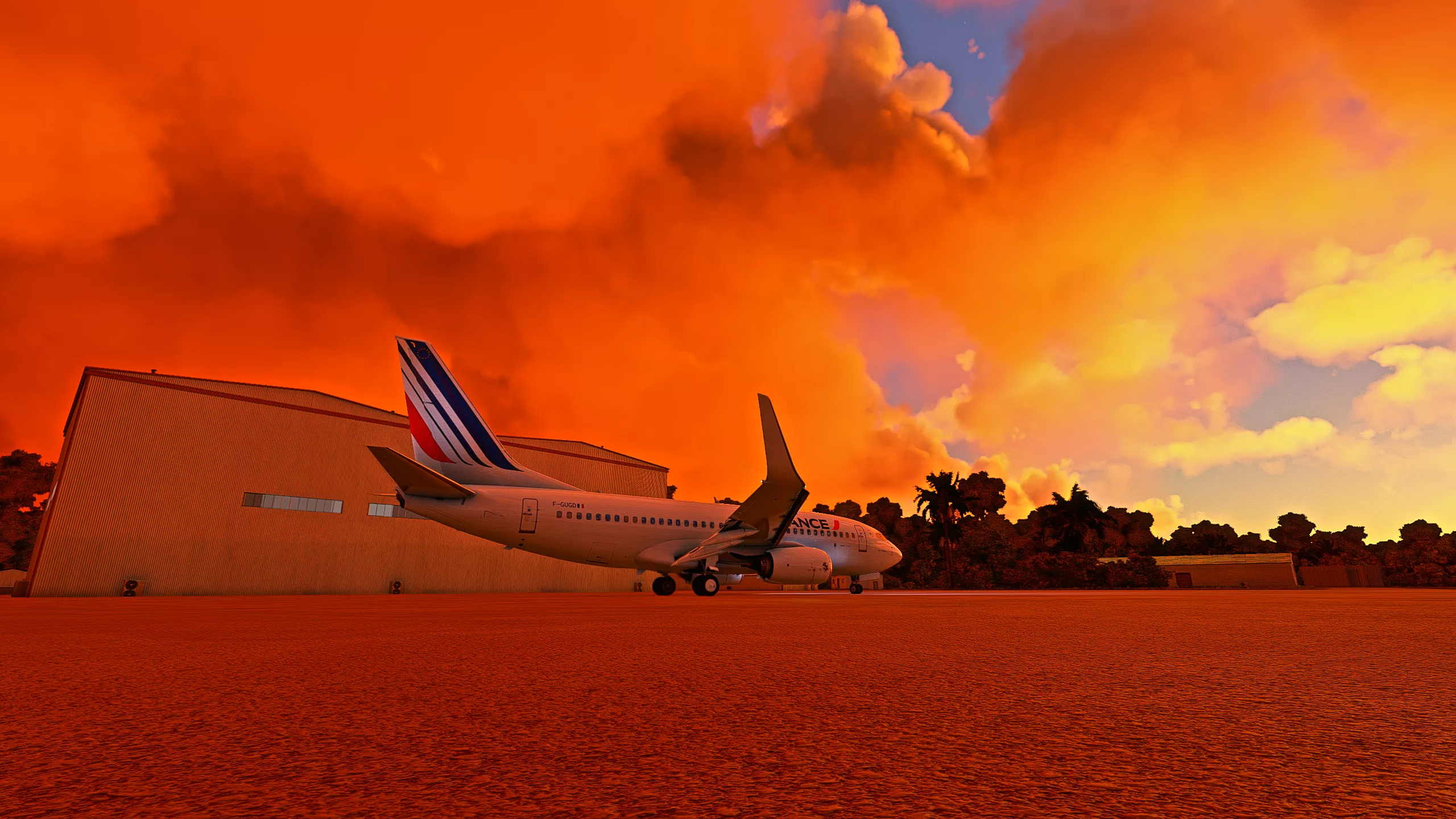 Flight Image