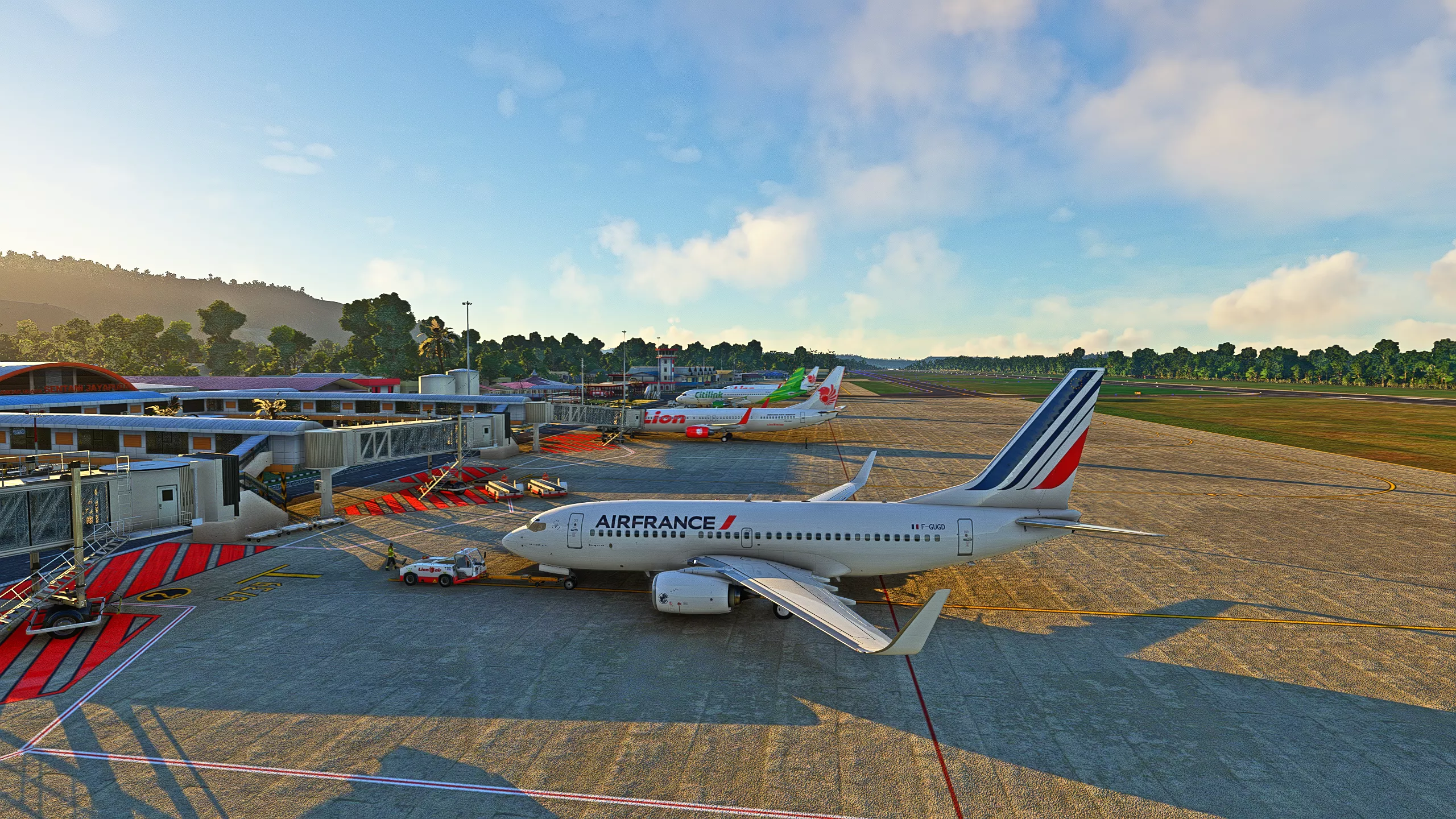 Flight Image