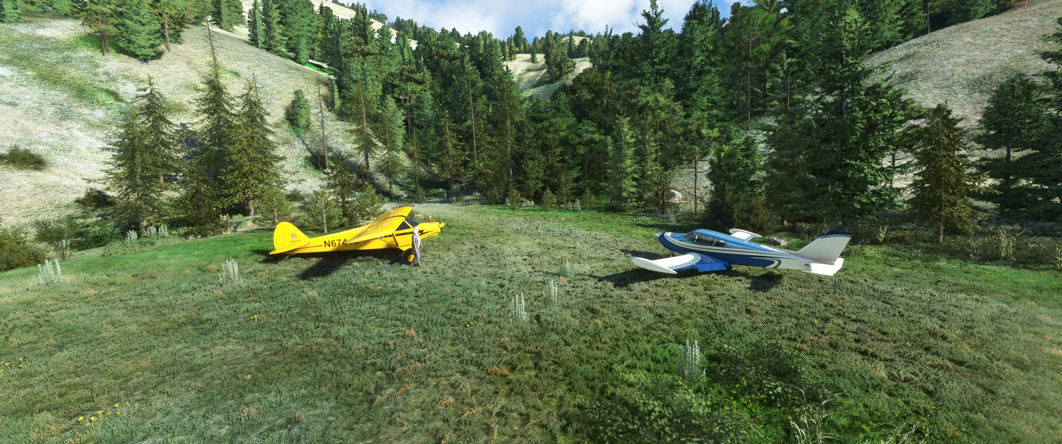 Flight Image