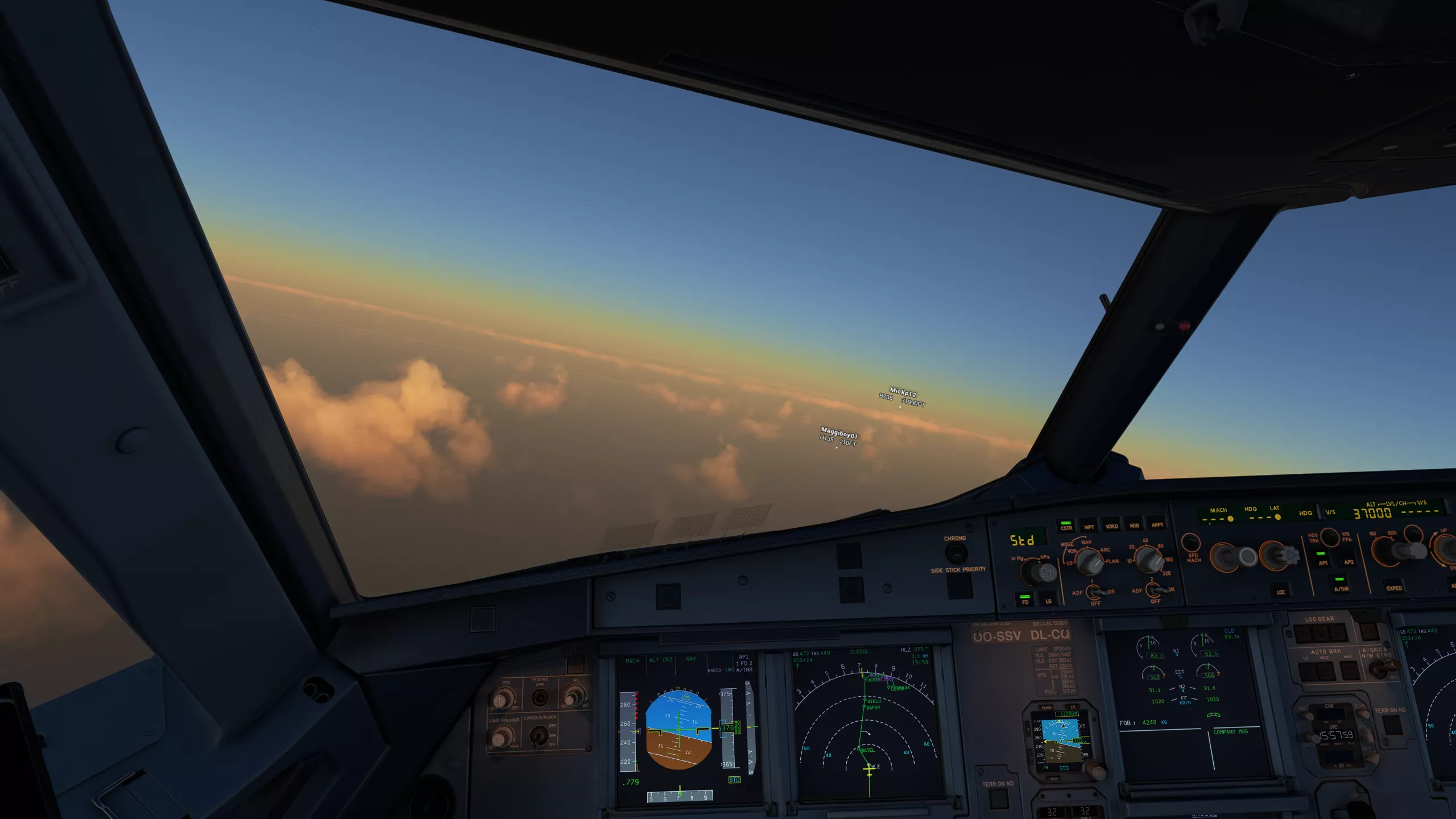 Flight Image
