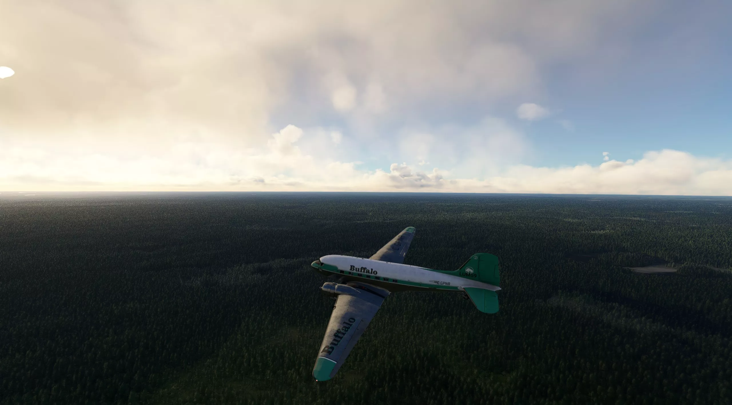 Flight Image