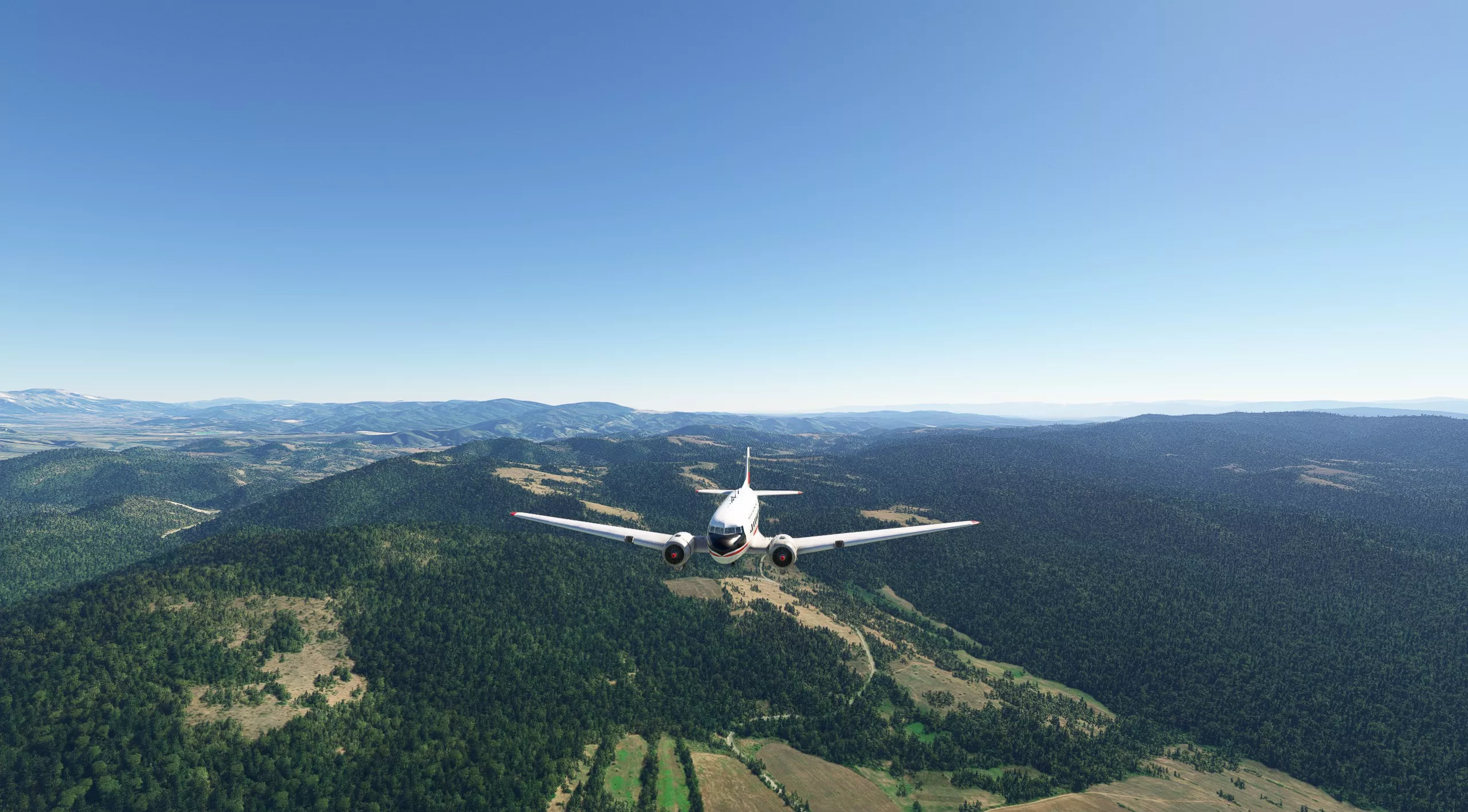 Flight Image
