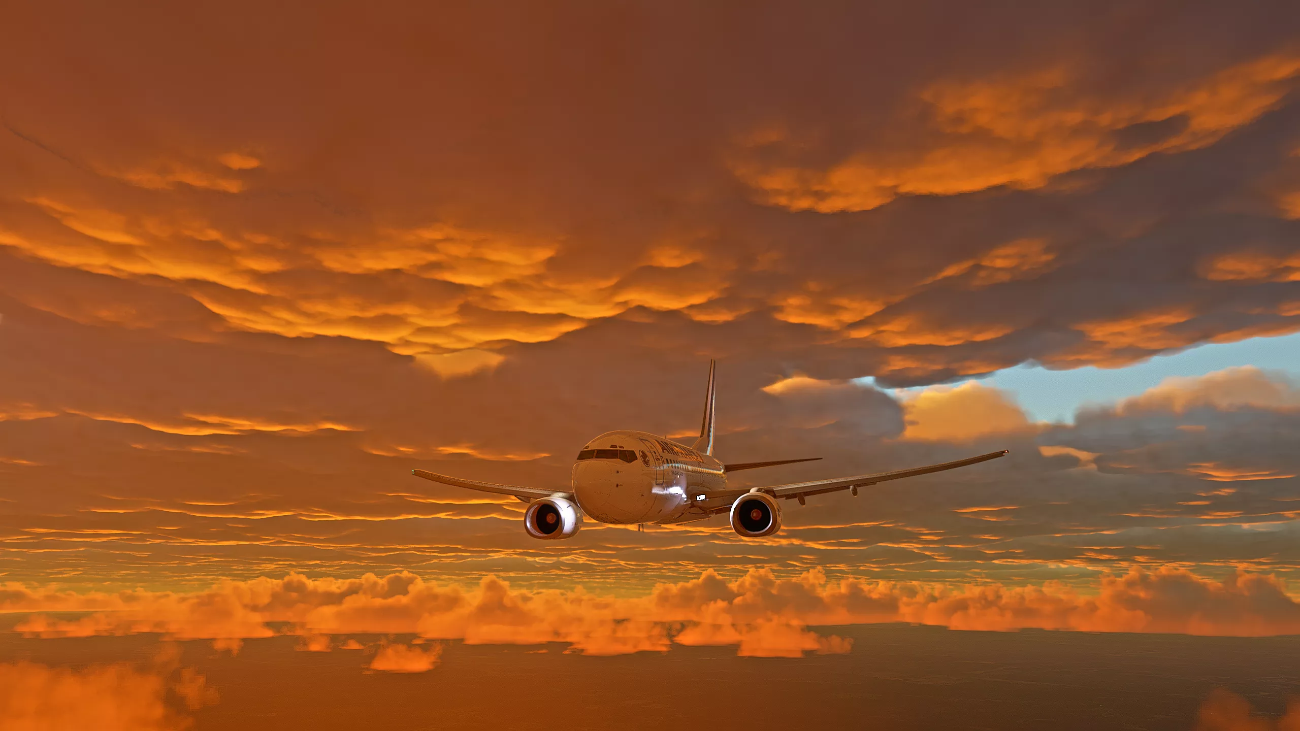 Flight Image