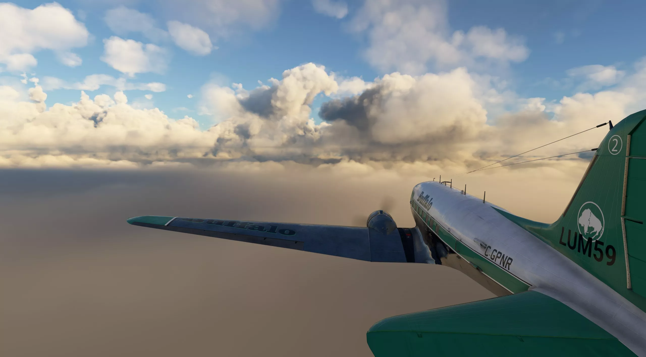 Flight Image