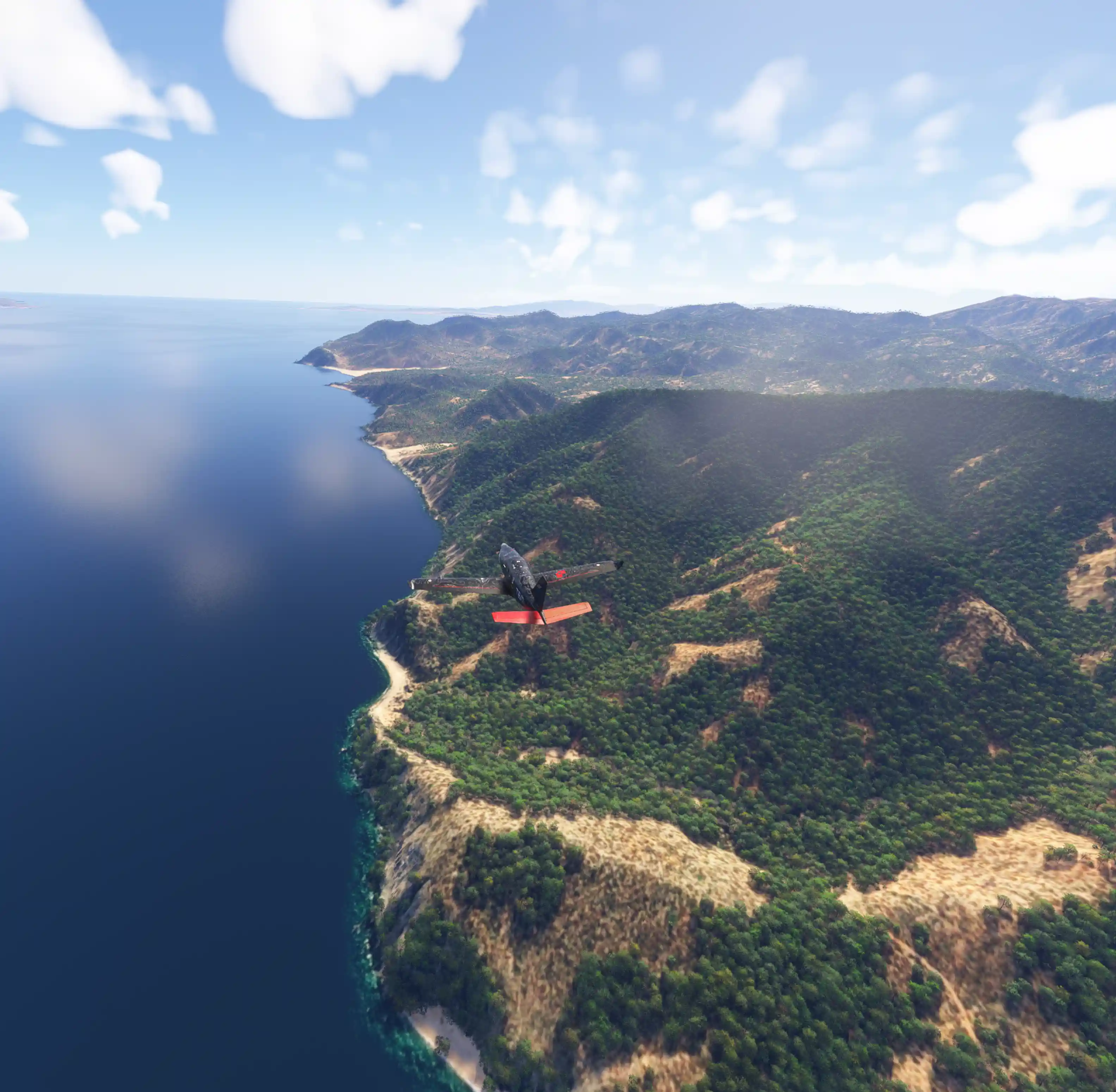 Flight Image
