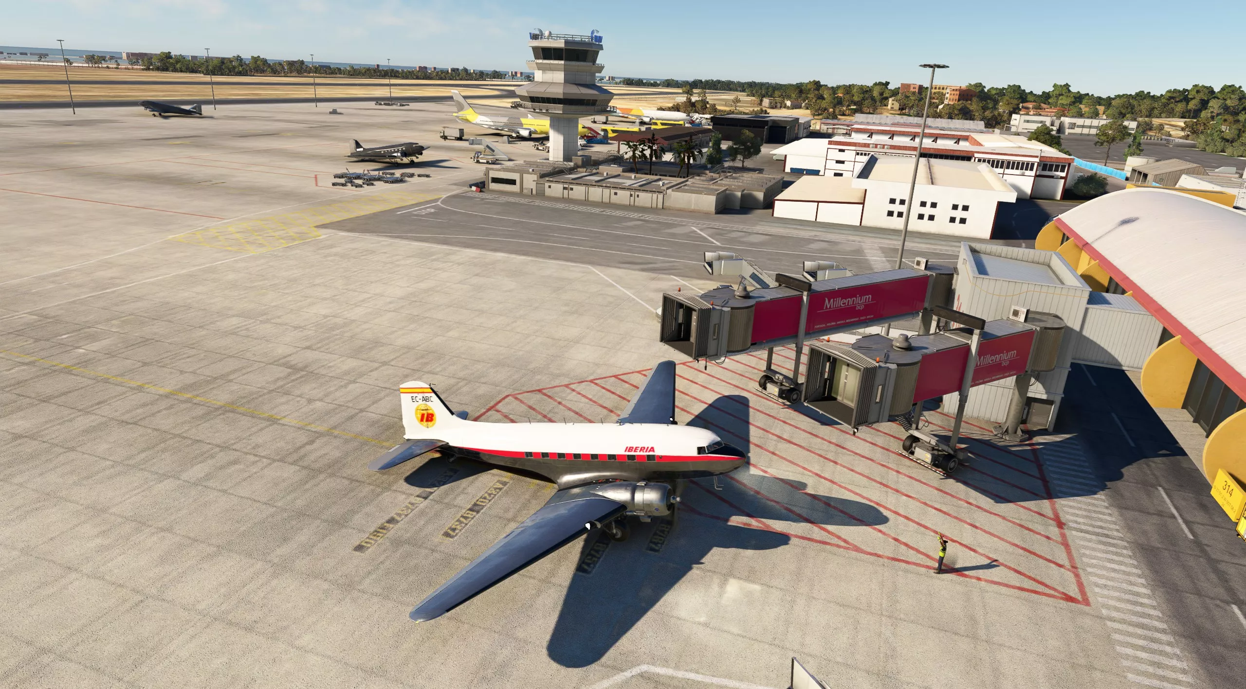 Flight Image