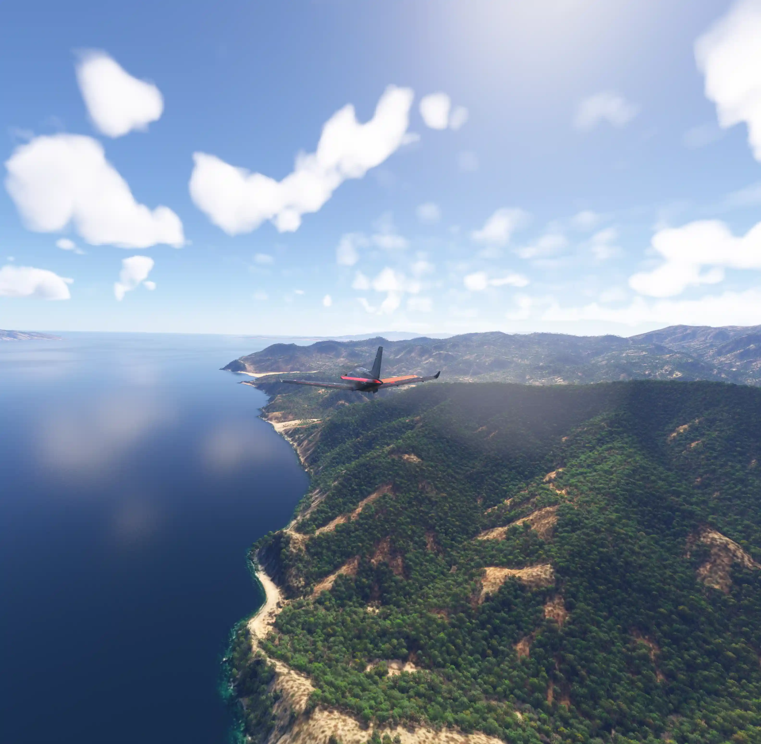 Flight Image