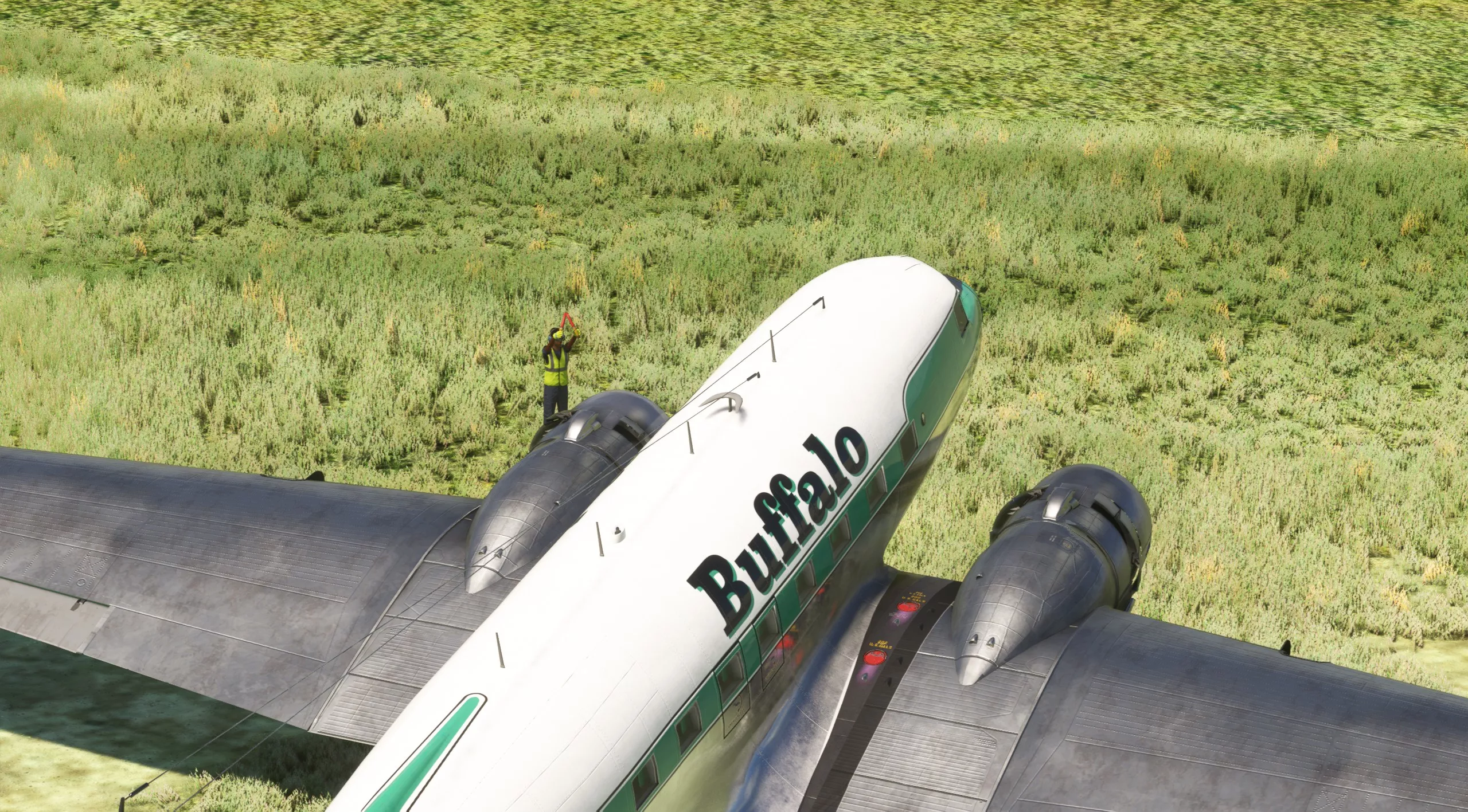 Flight Image