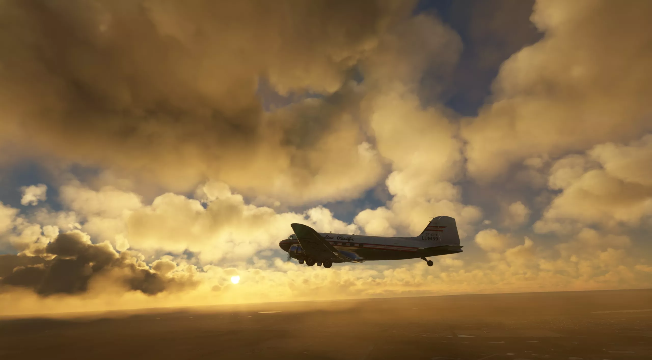 Flight Image