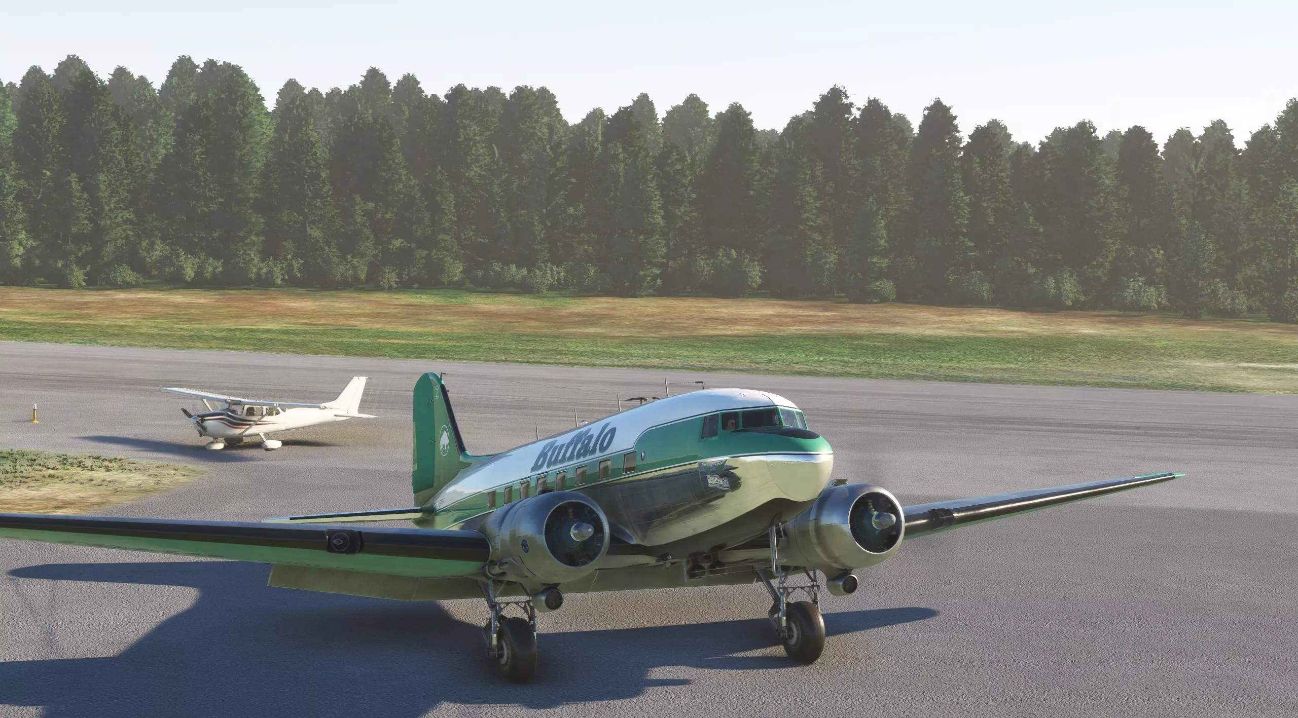 Flight Image