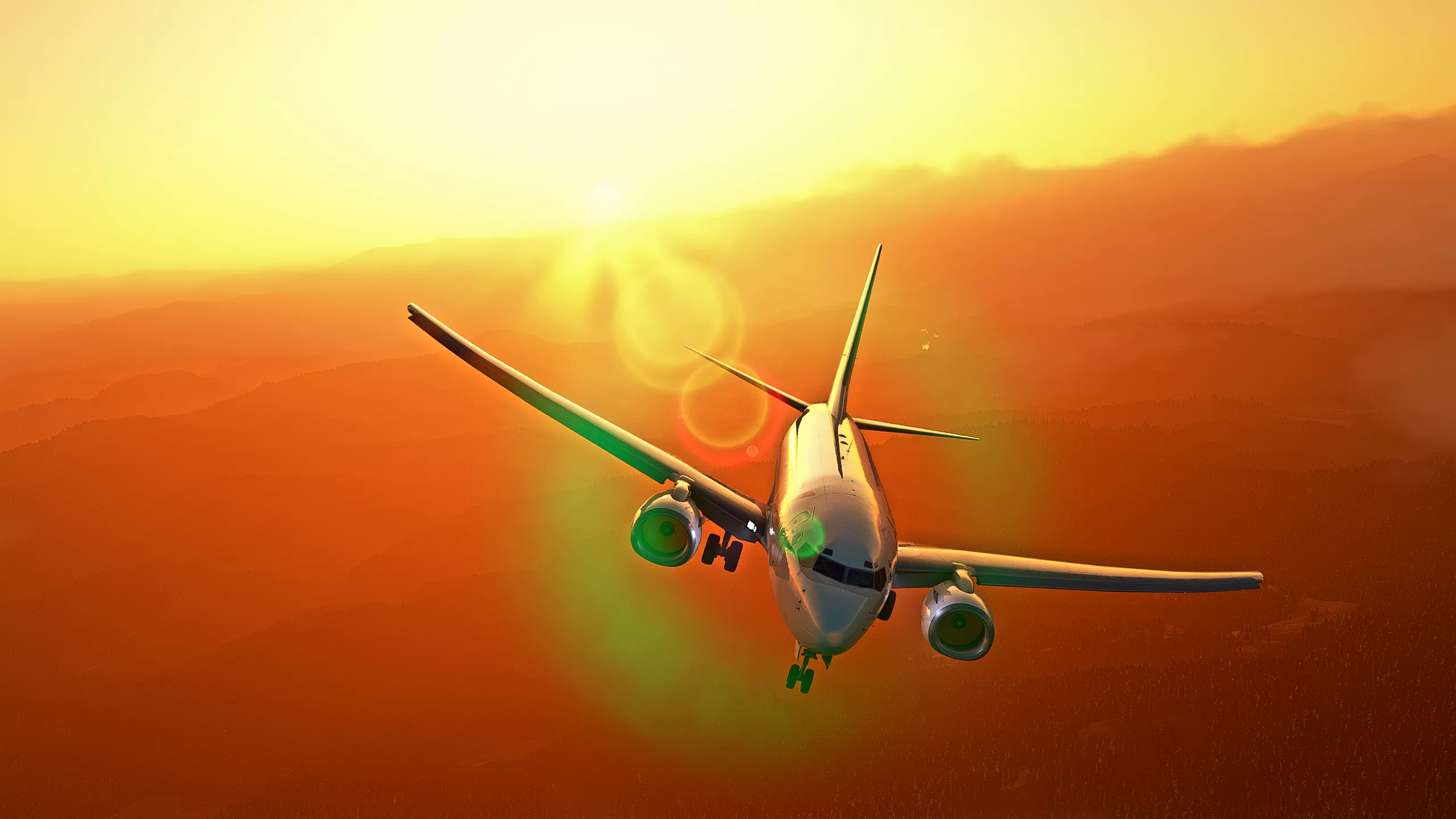 Flight Image
