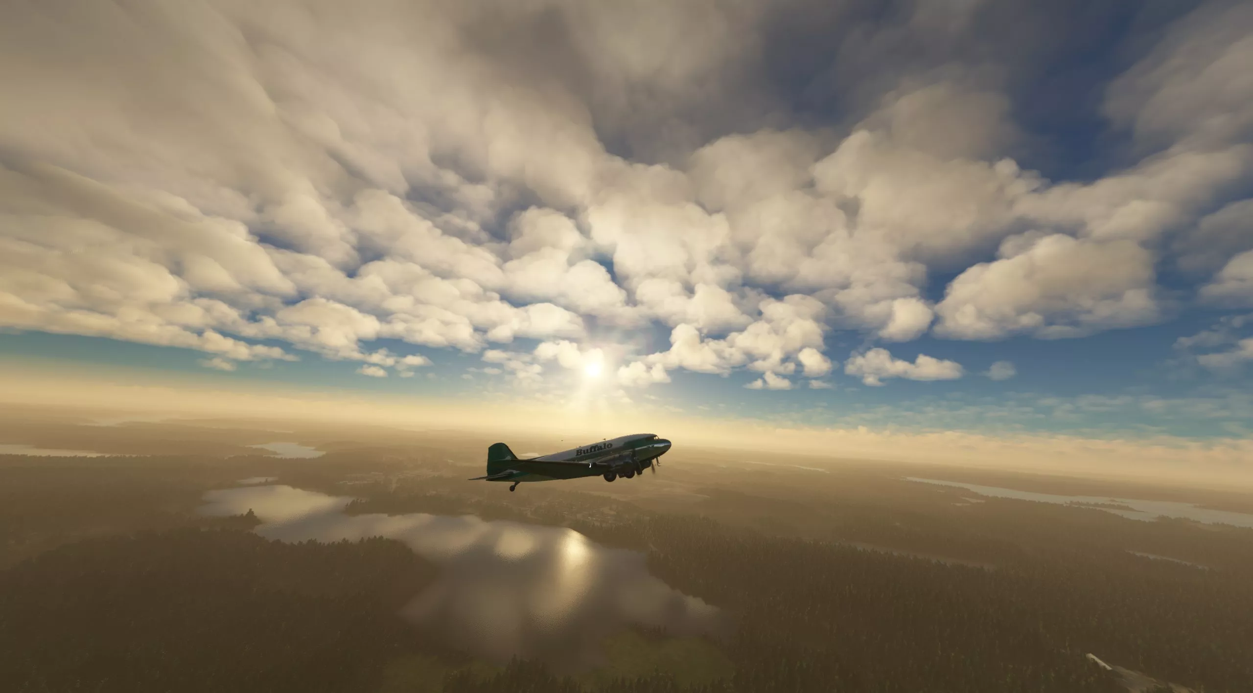 Flight Image