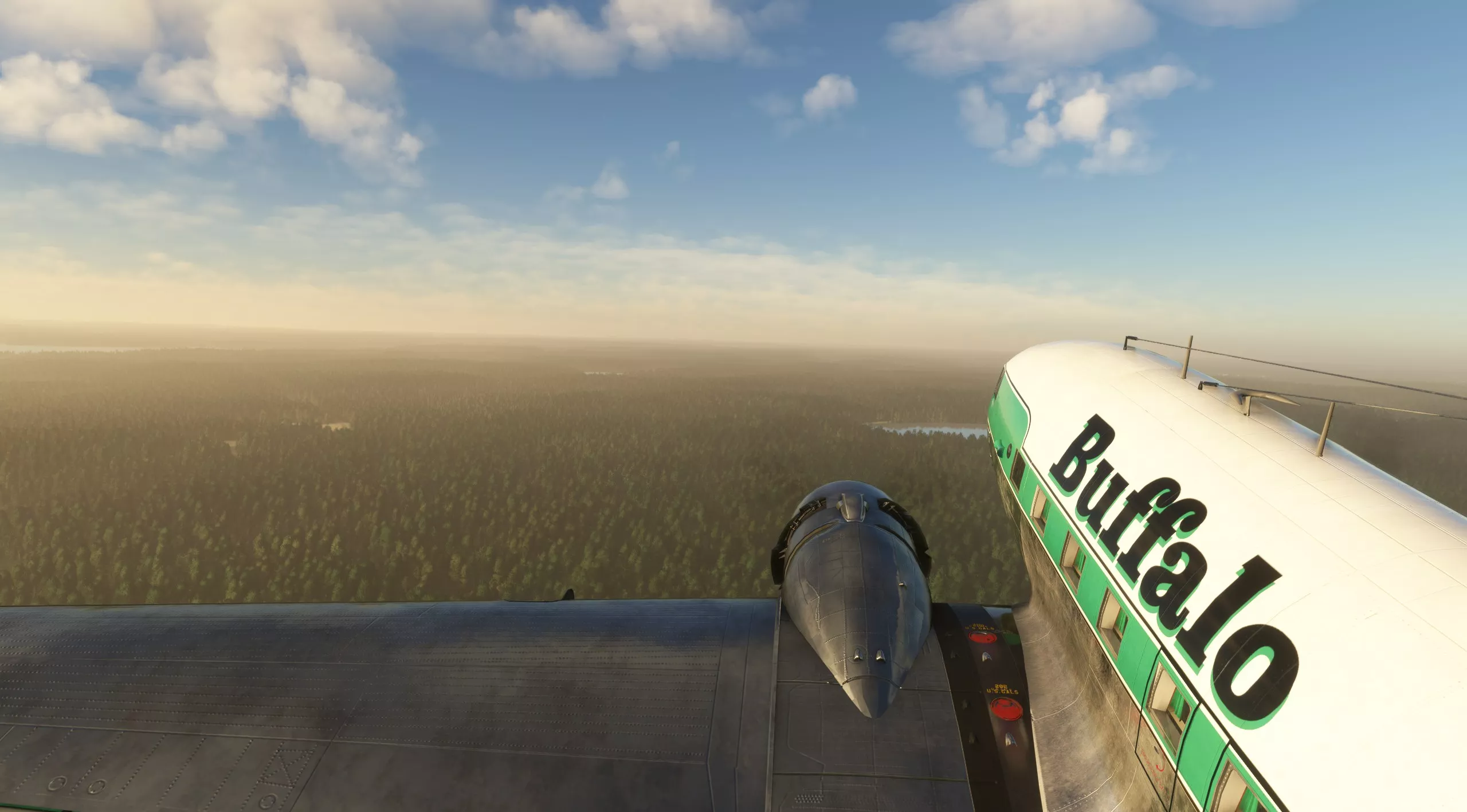 Flight Image