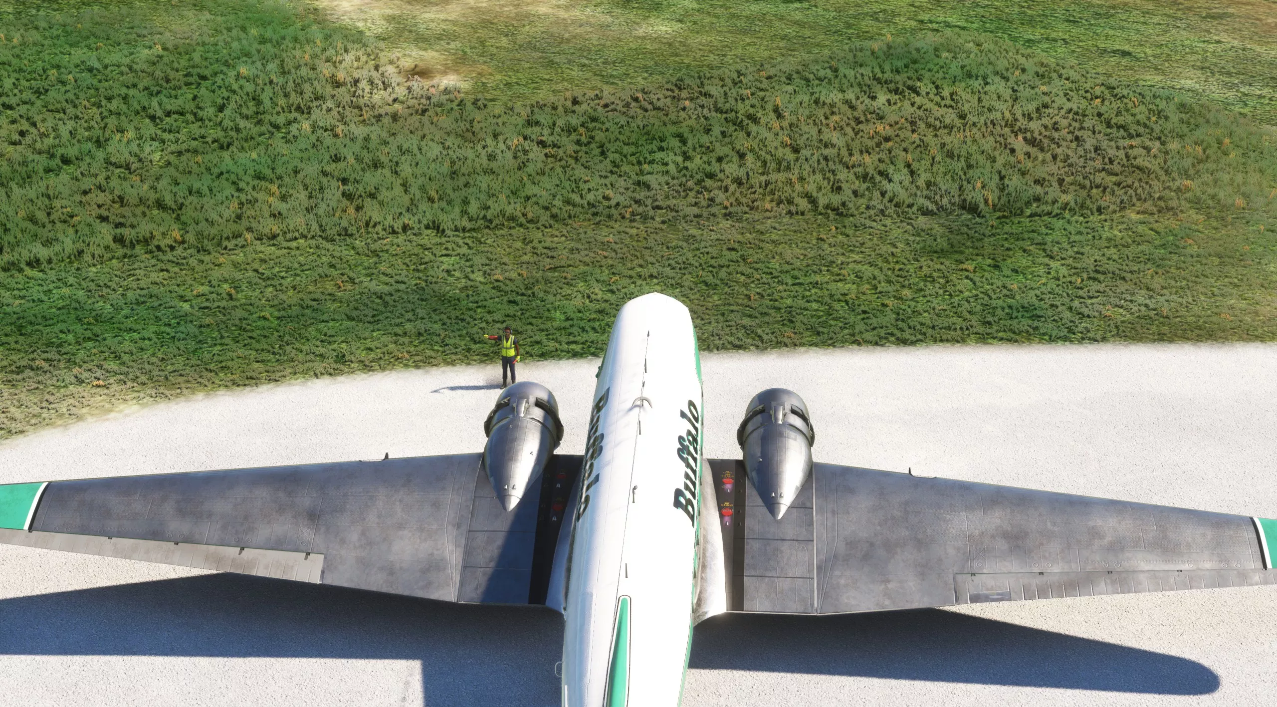 Flight Image