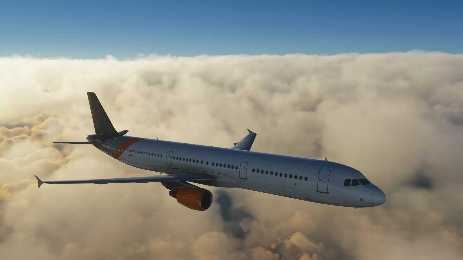 Flight Image