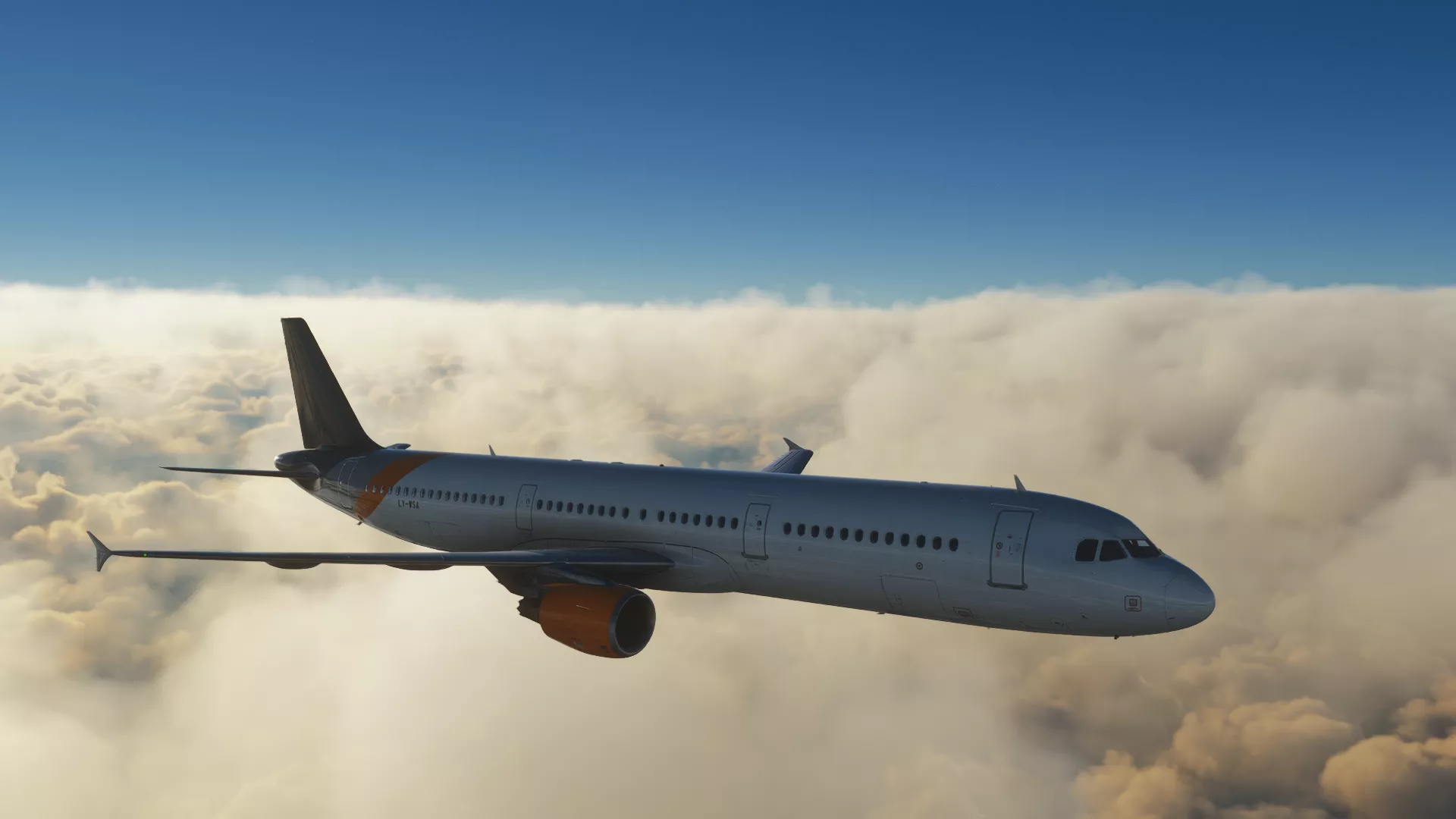 Flight Image