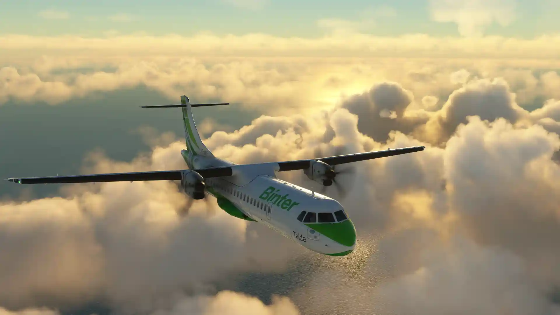Flight Image