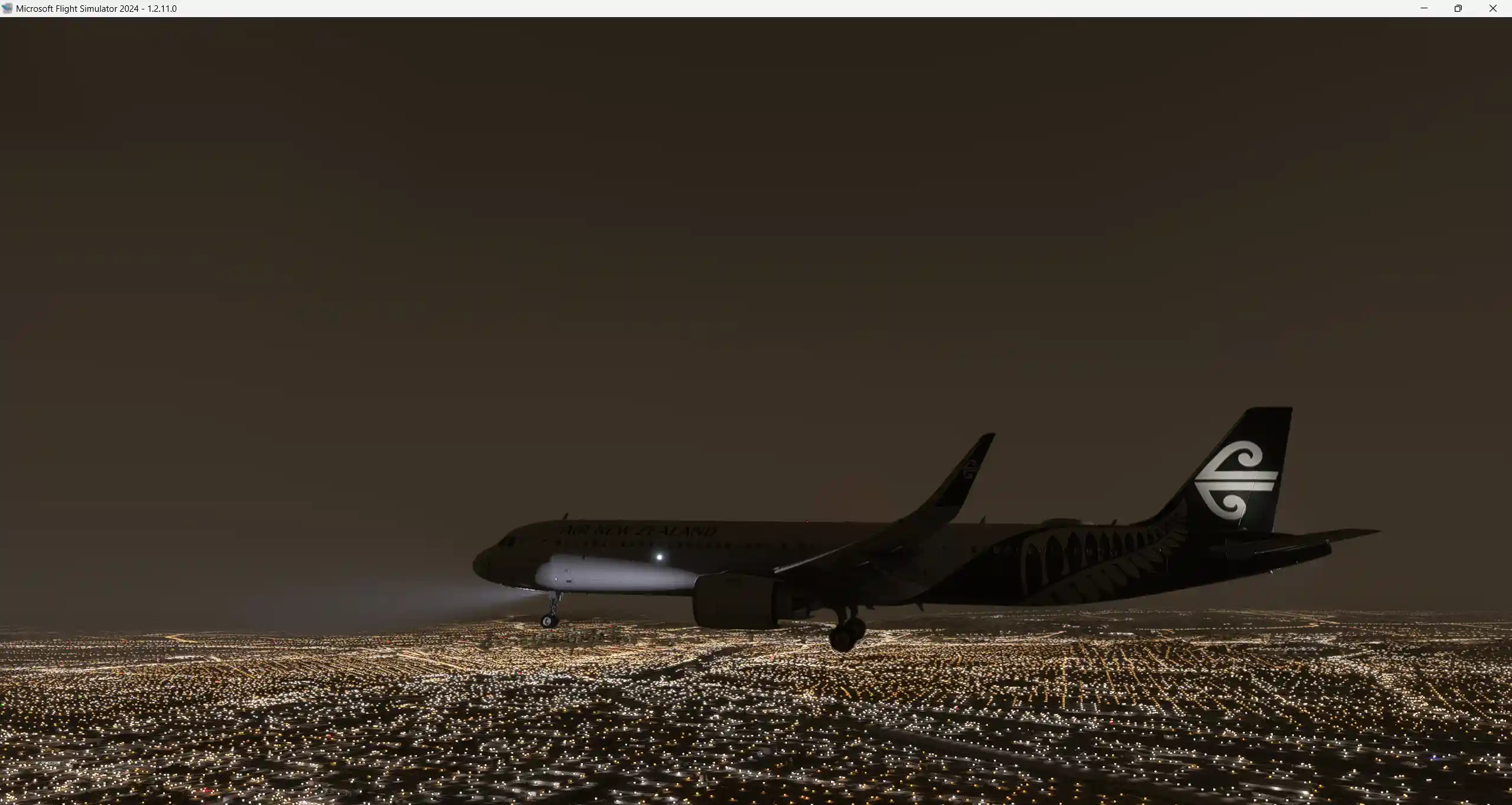 Flight Image