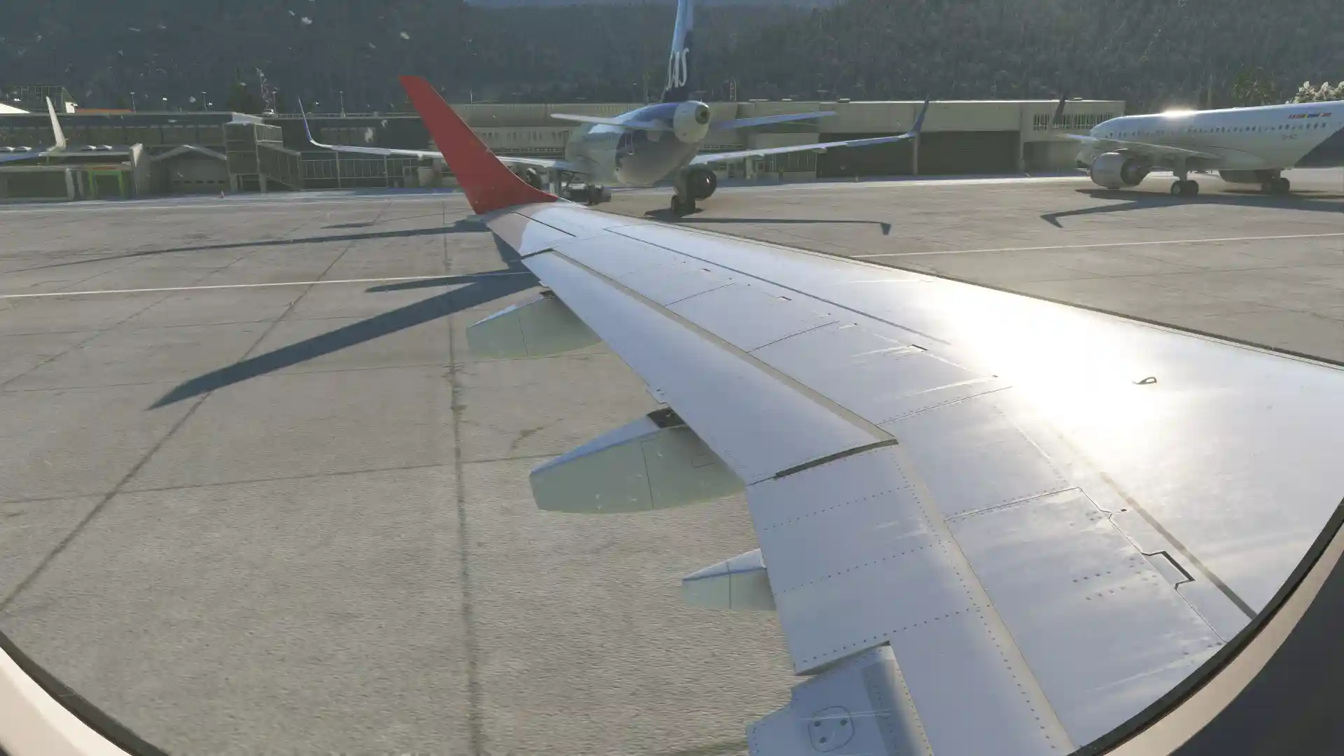 Flight Image