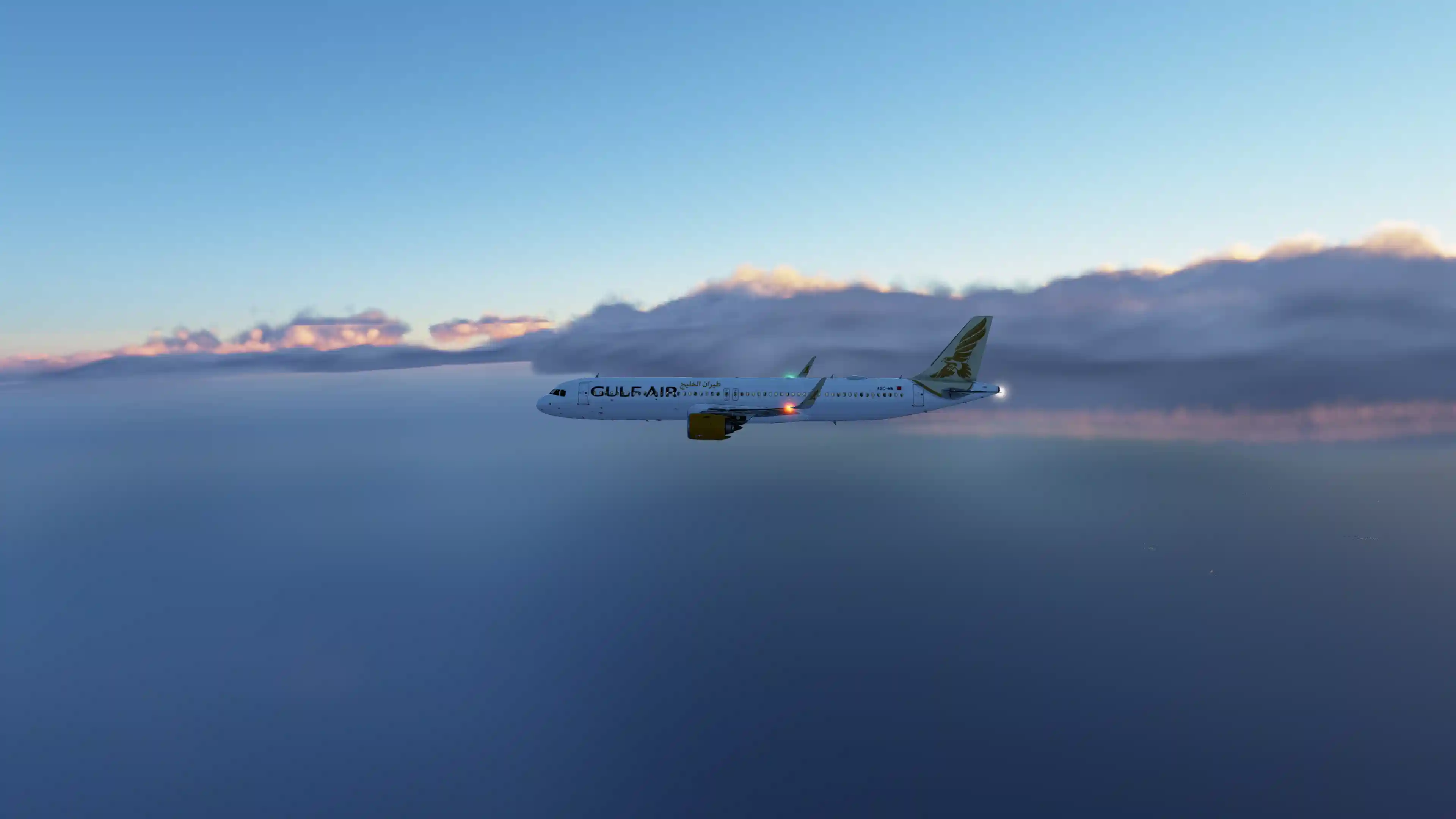 Flight Image