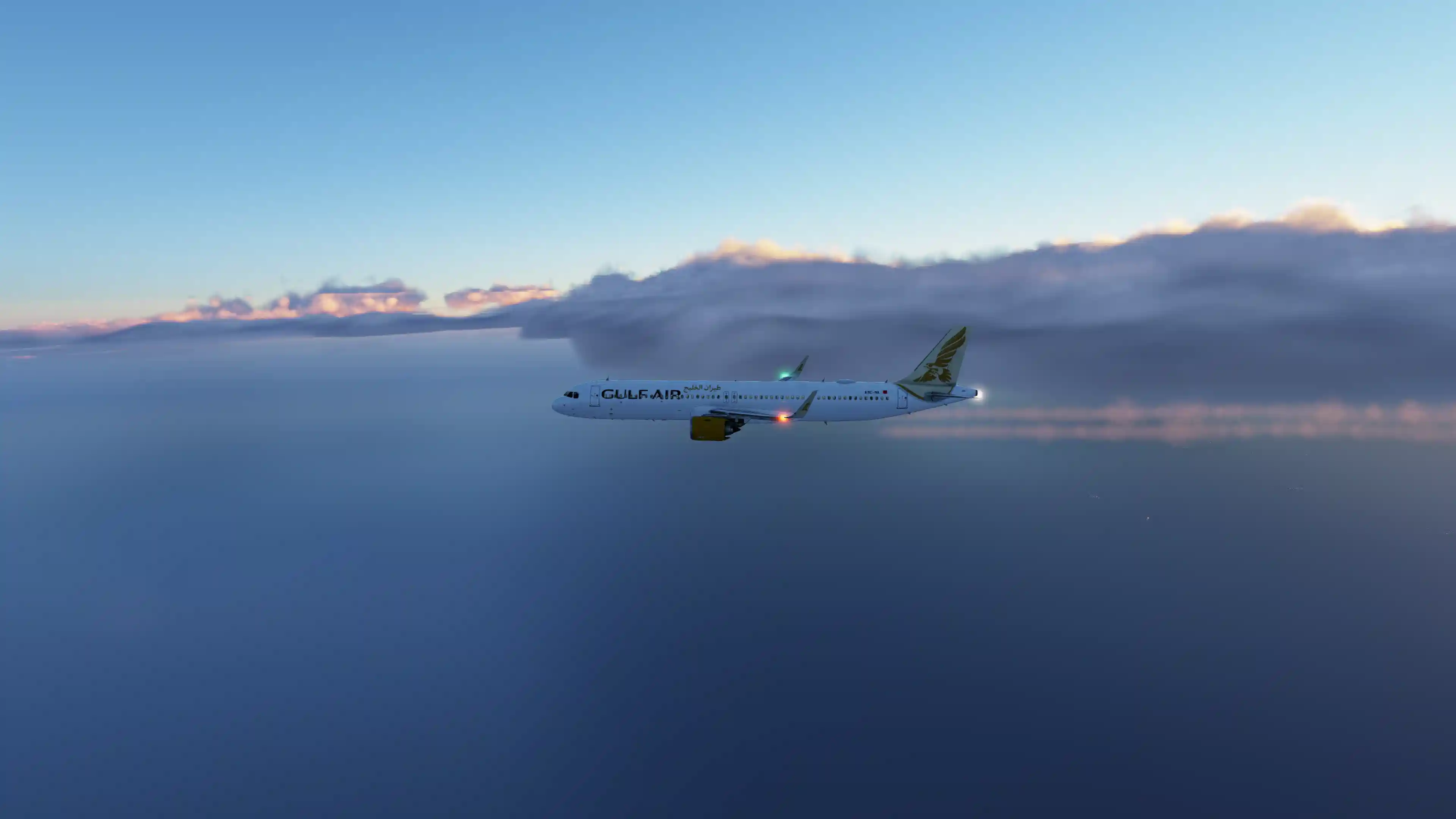 Flight Image