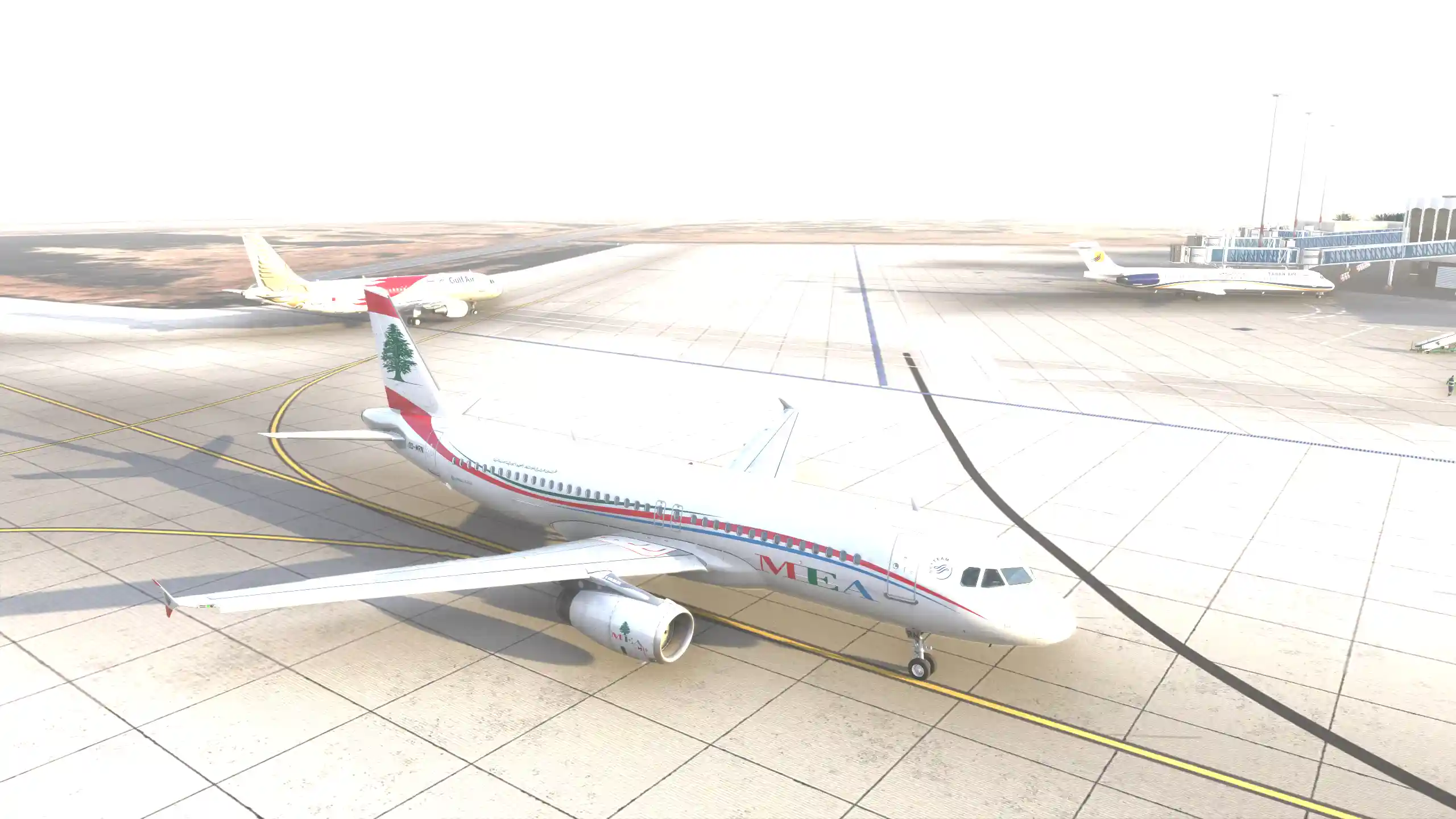 Flight Image