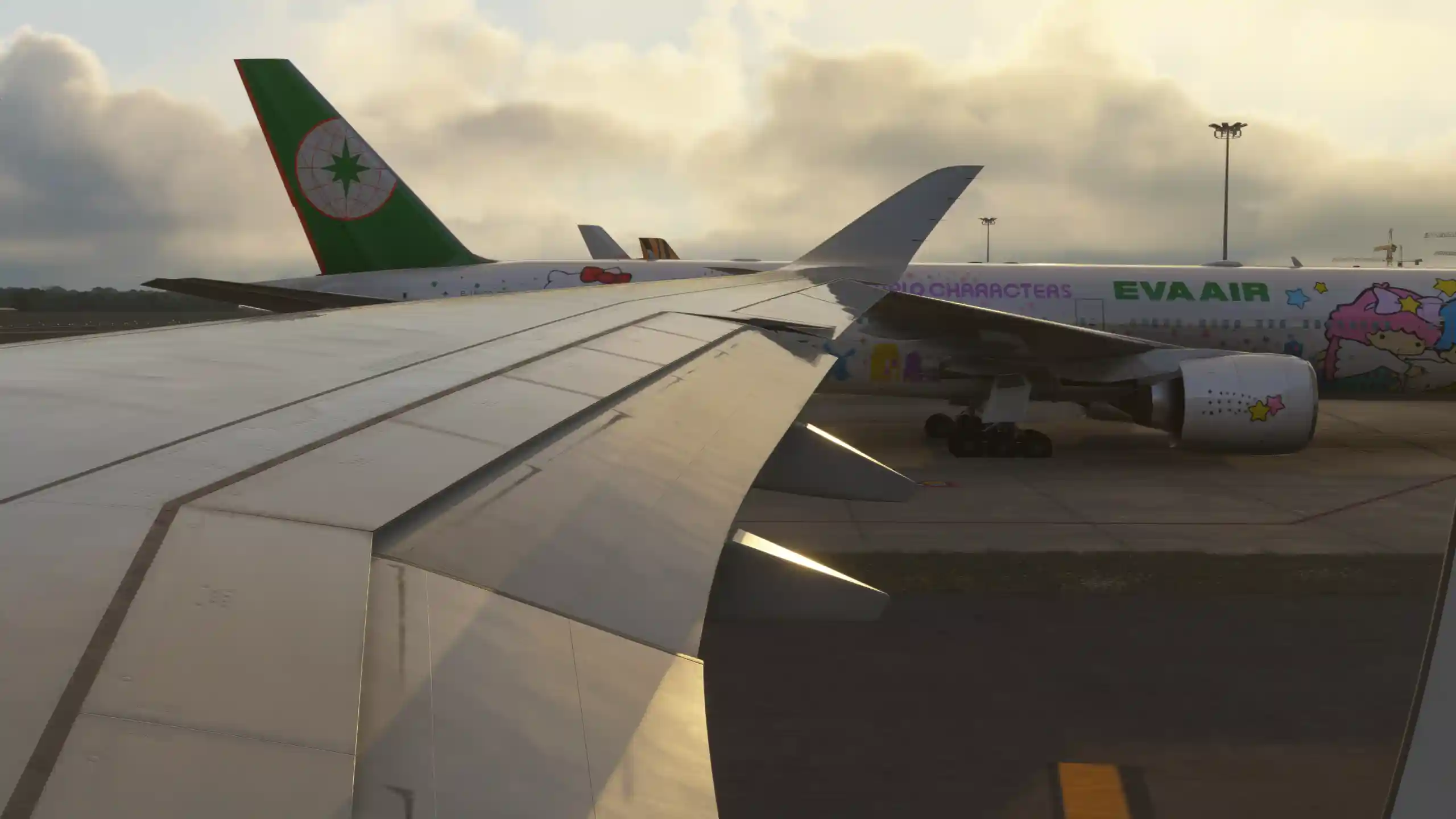 Flight Image
