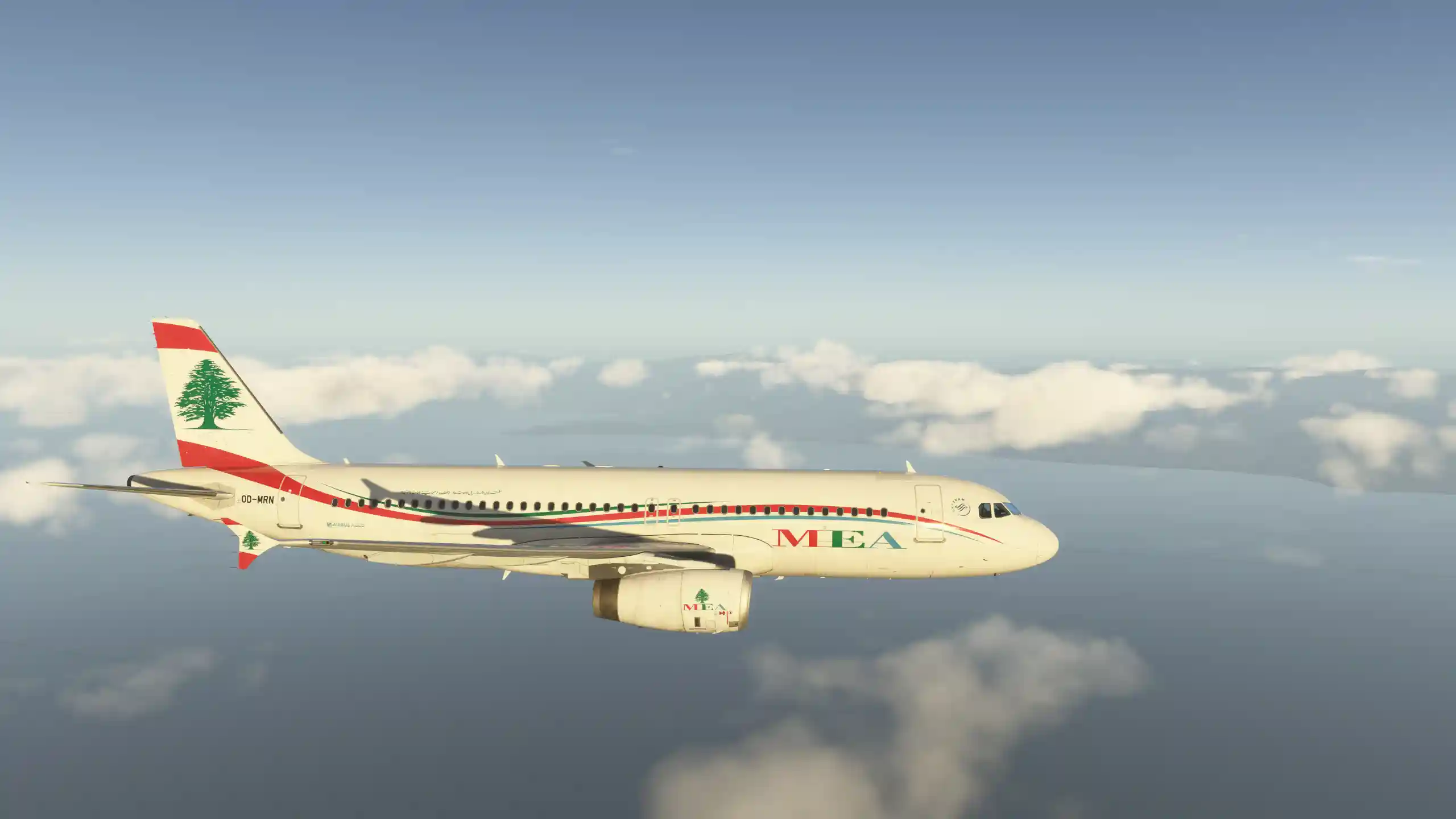 Flight Image
