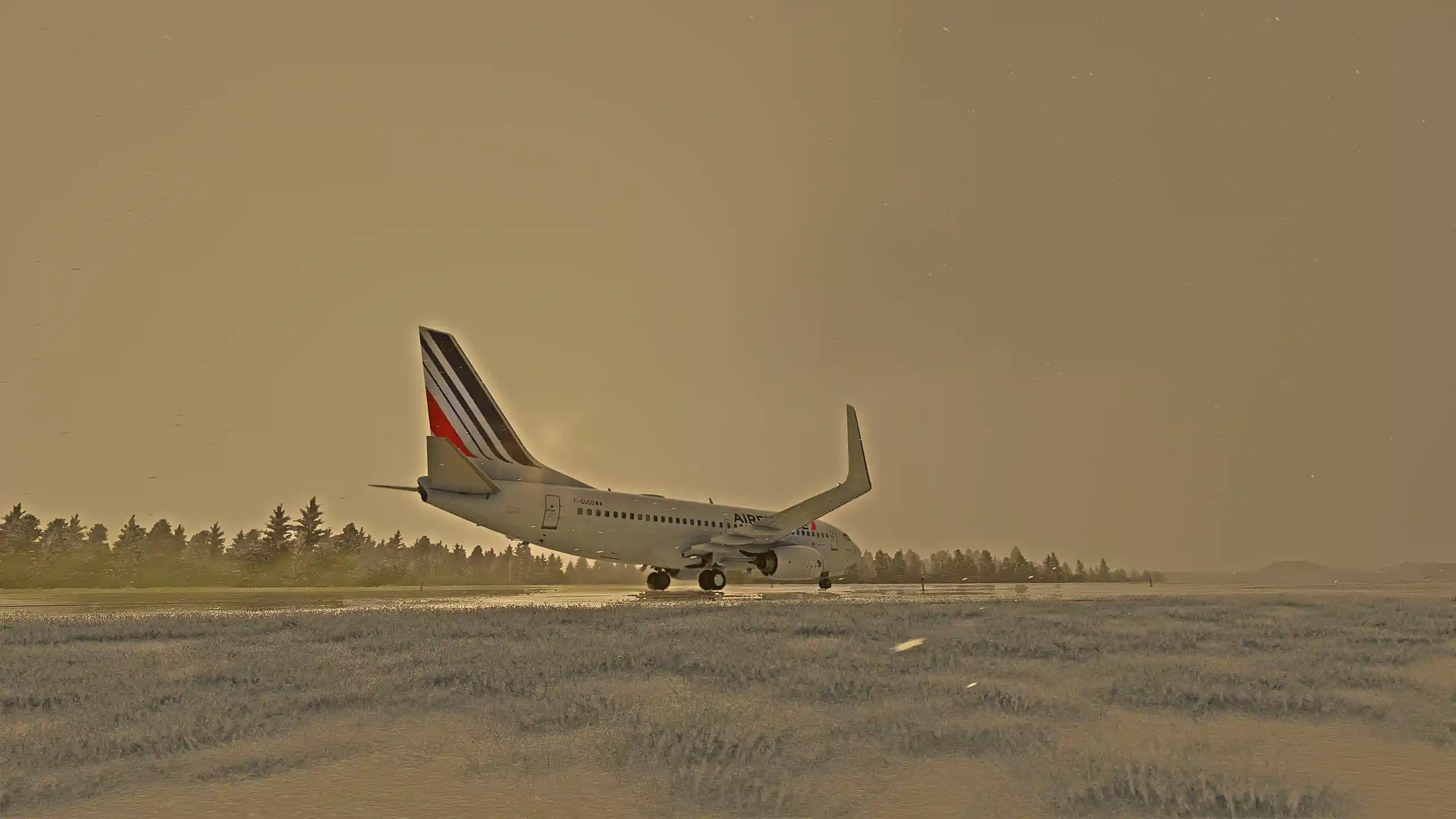 Flight Image