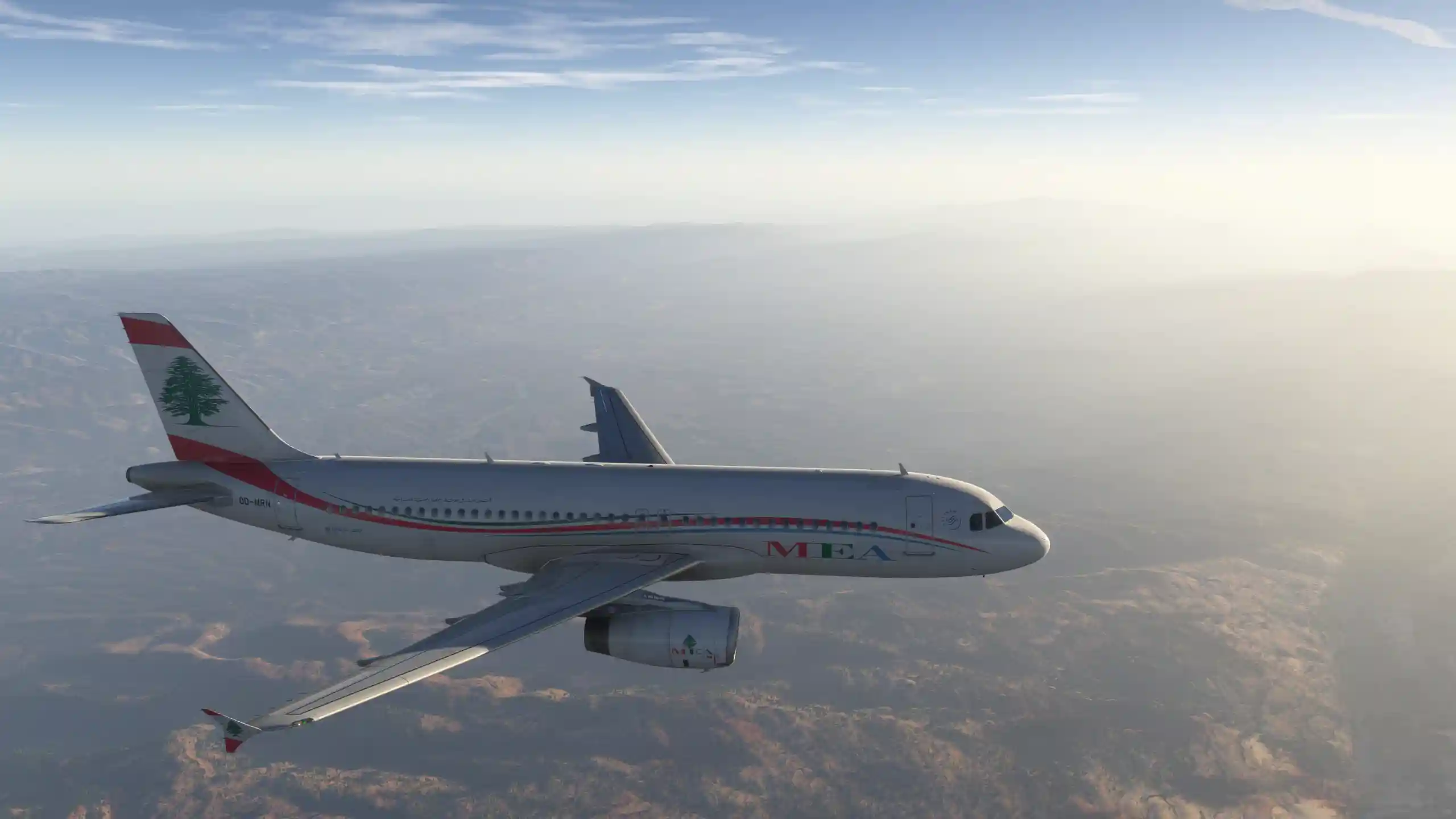 Flight Image