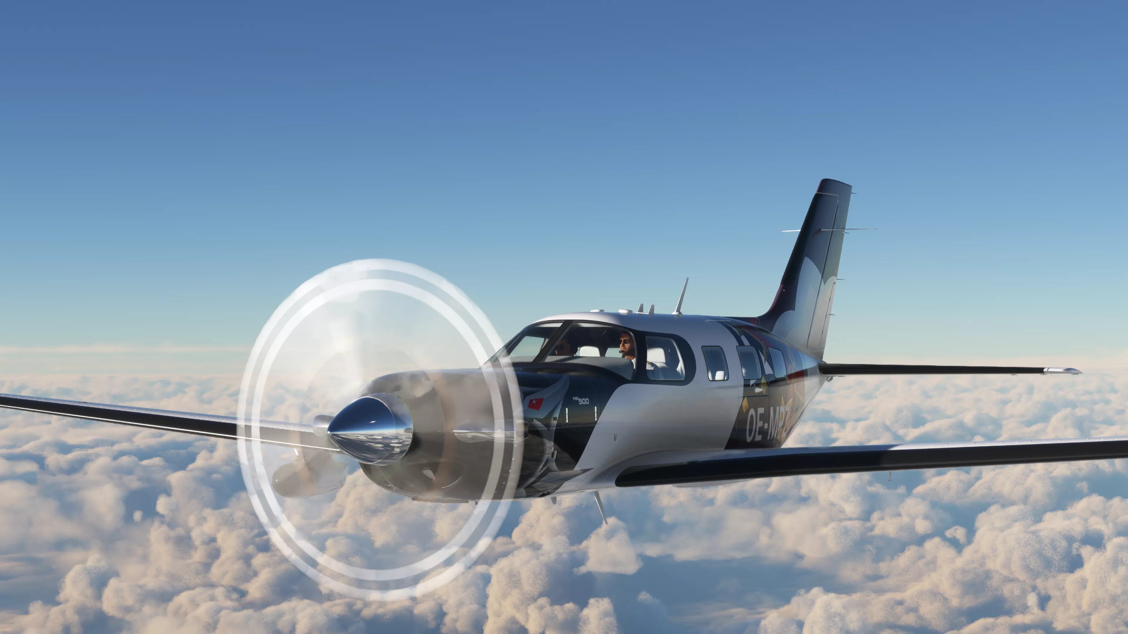 Flight Image