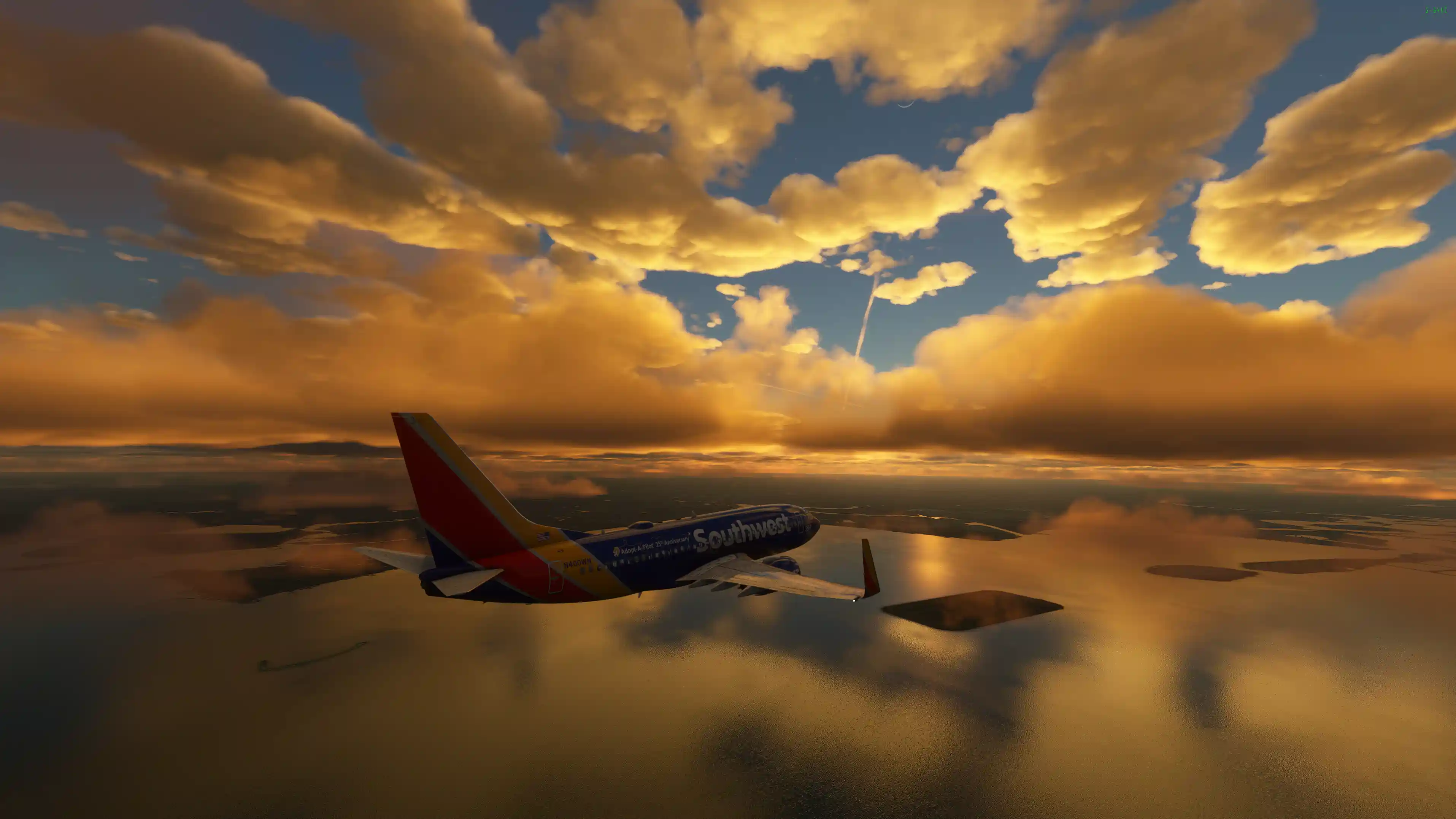 Flight Image