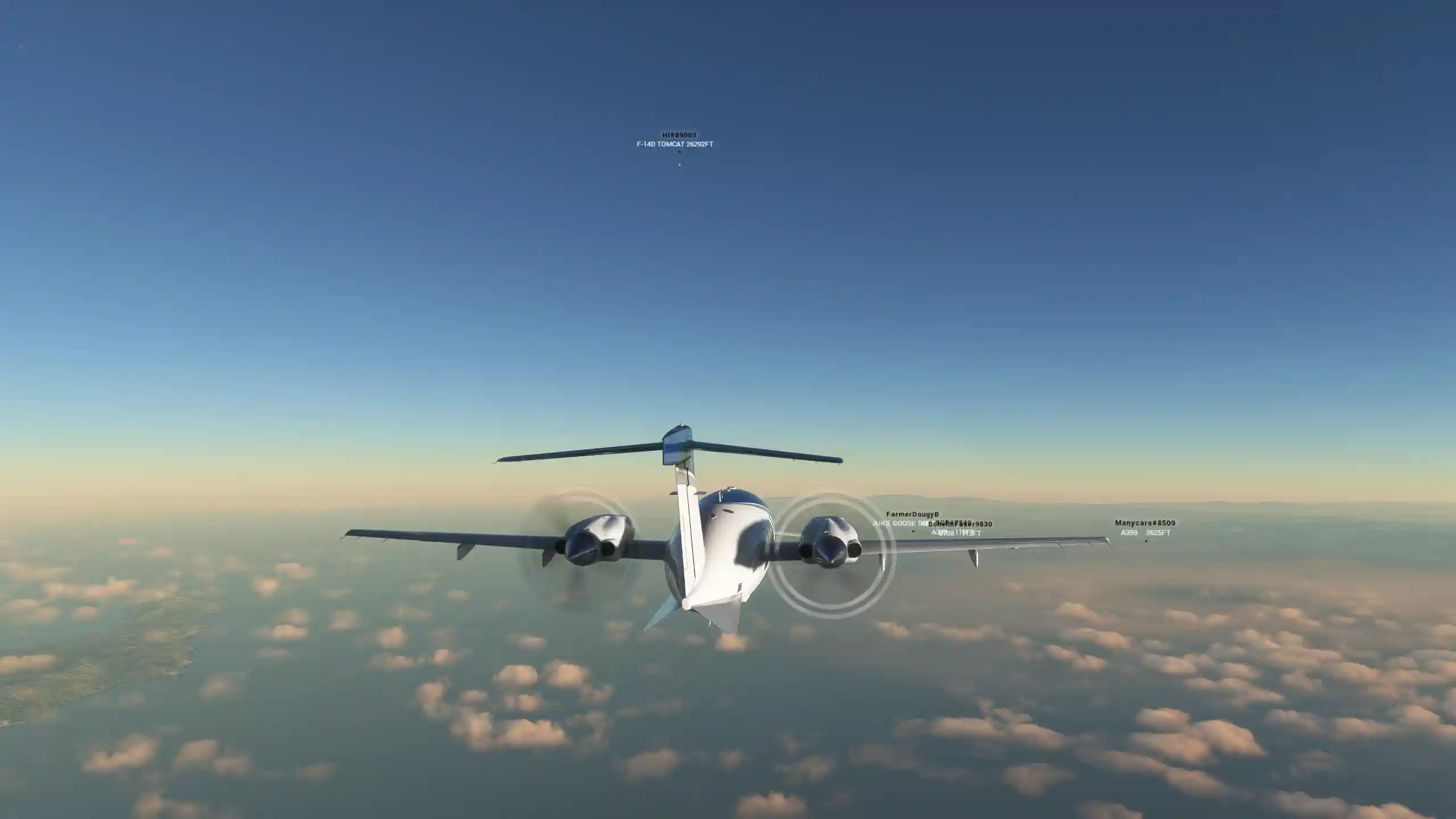 Flight Image