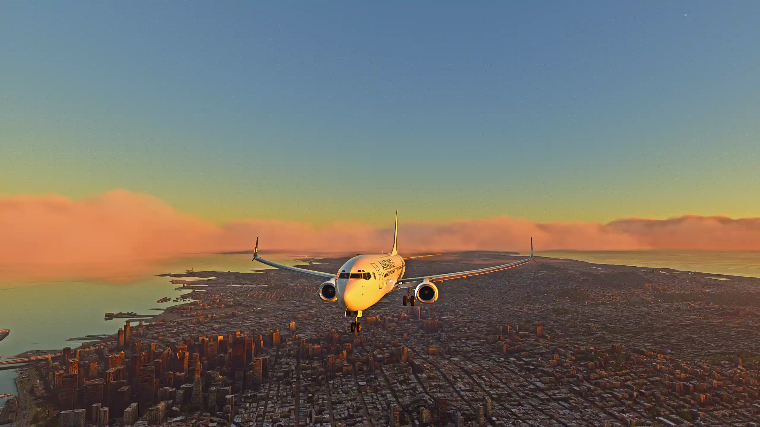 Flight Image