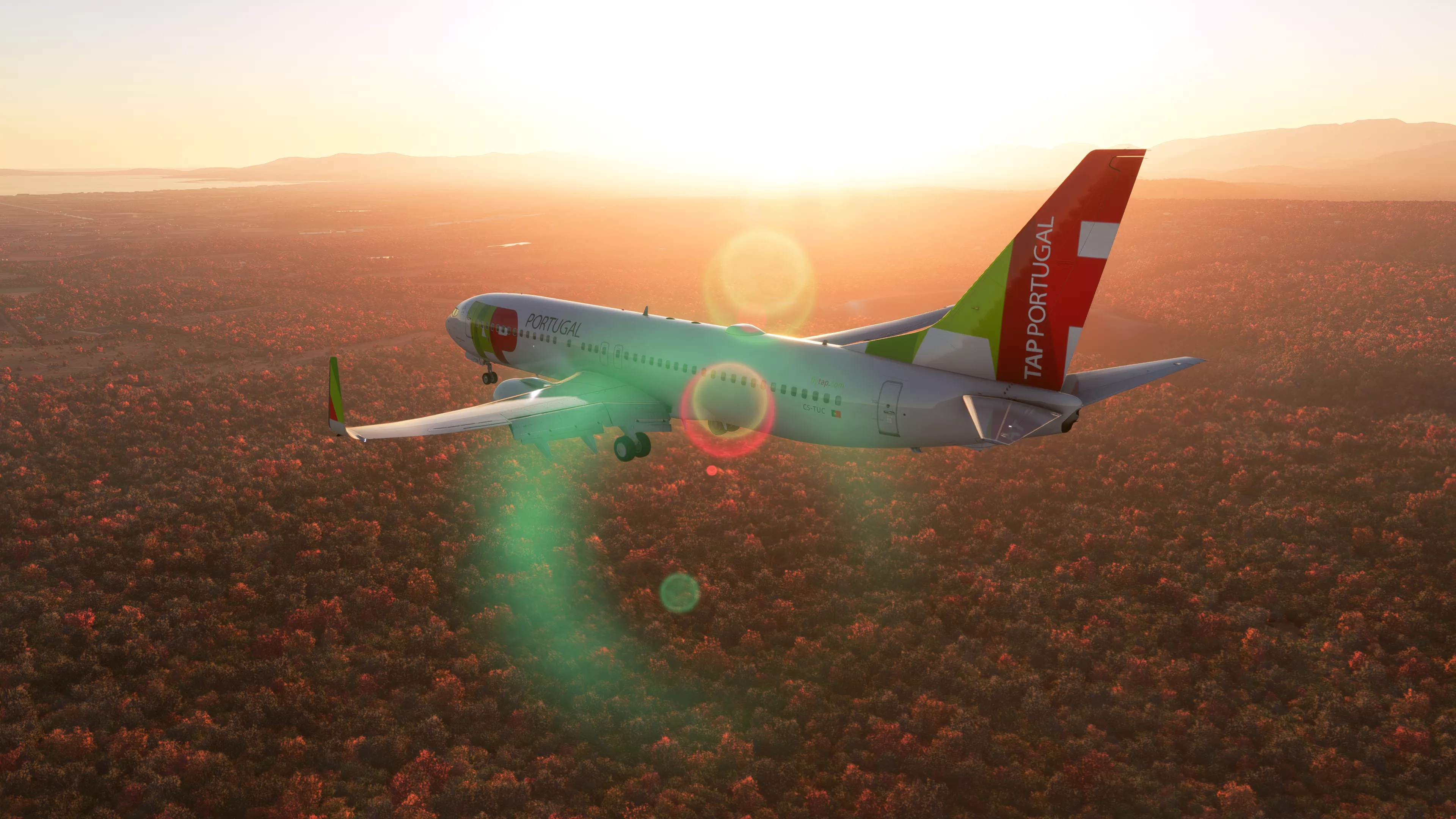 Flight Image