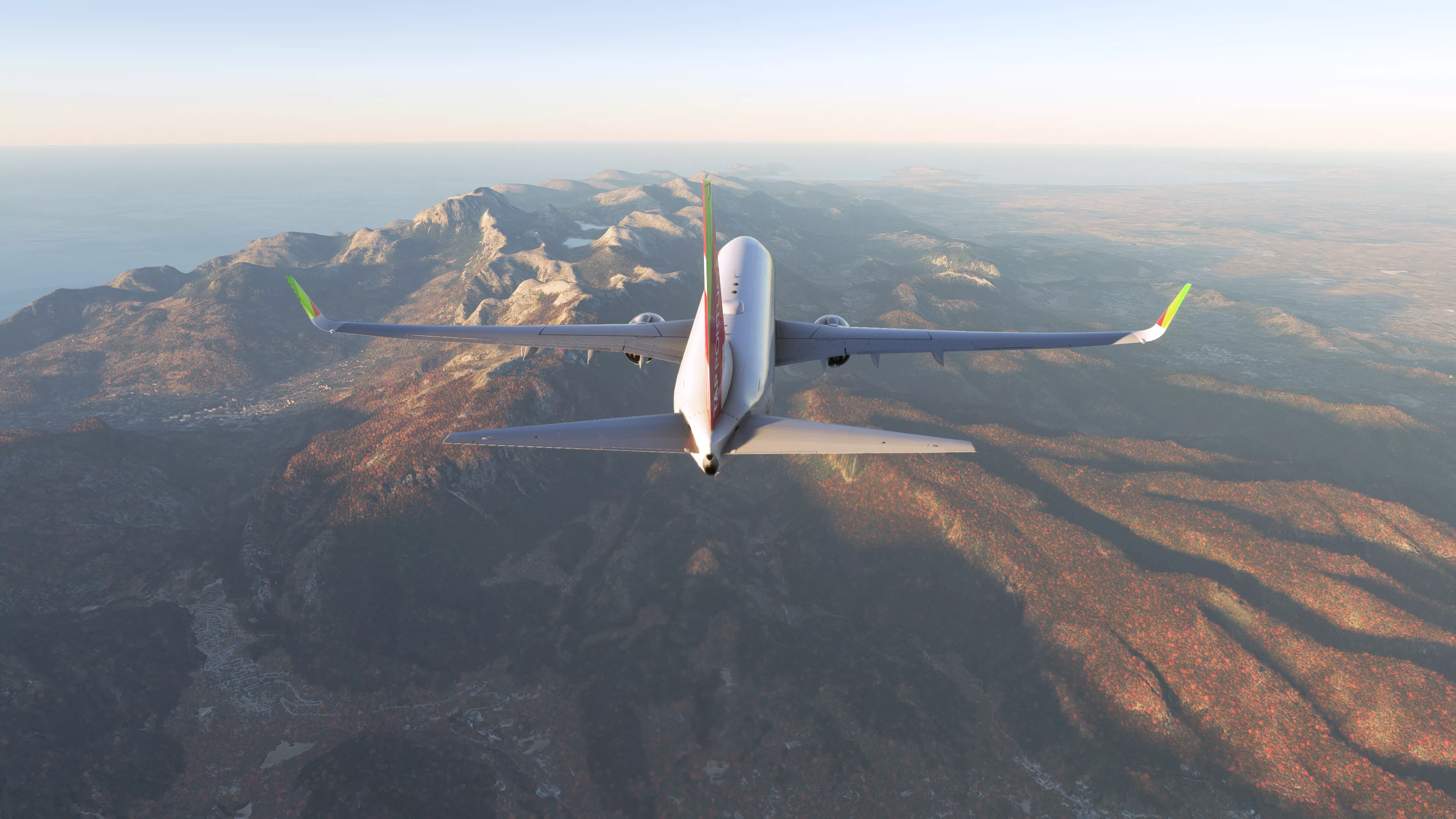 Flight Image