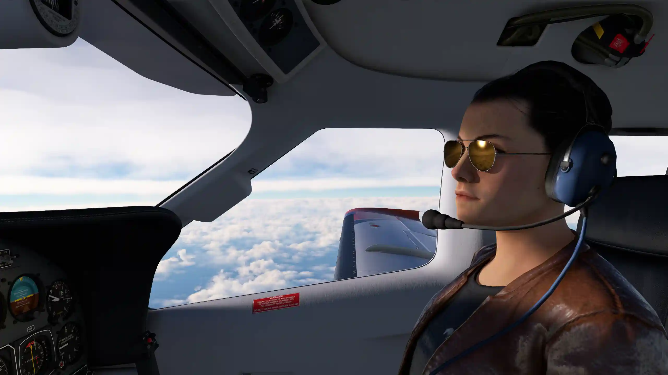 Flight Image