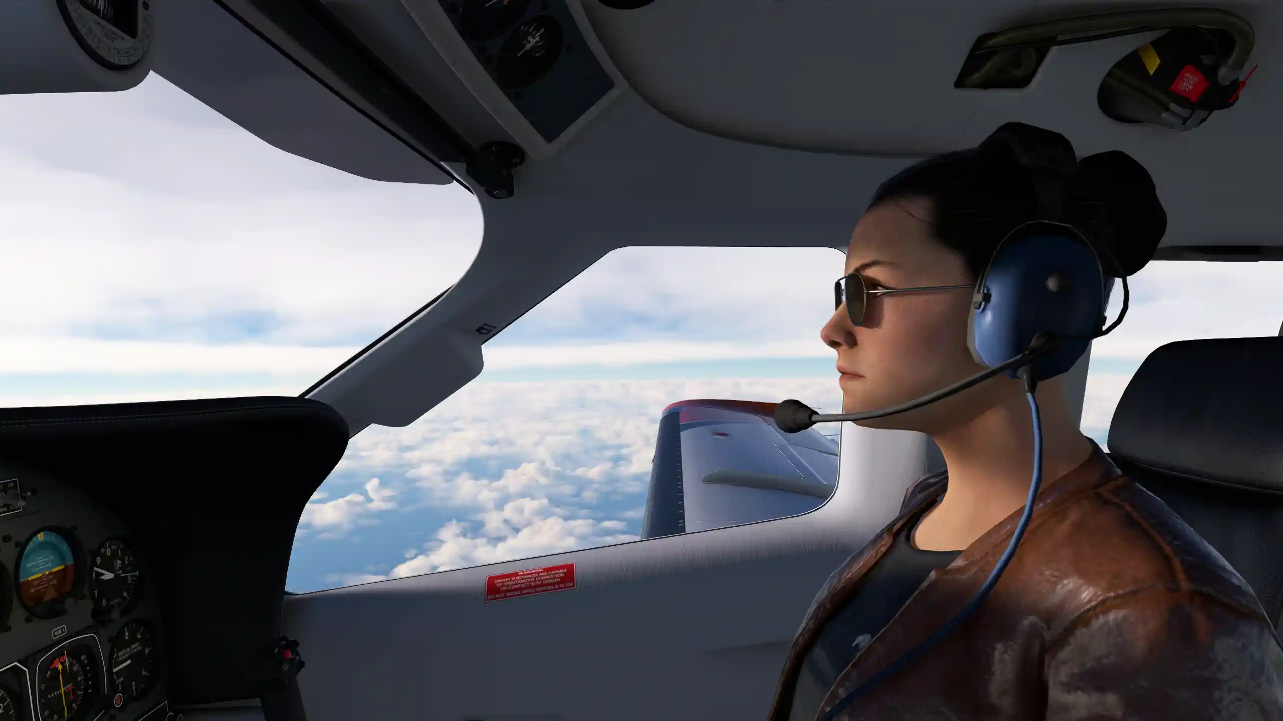 Flight Image