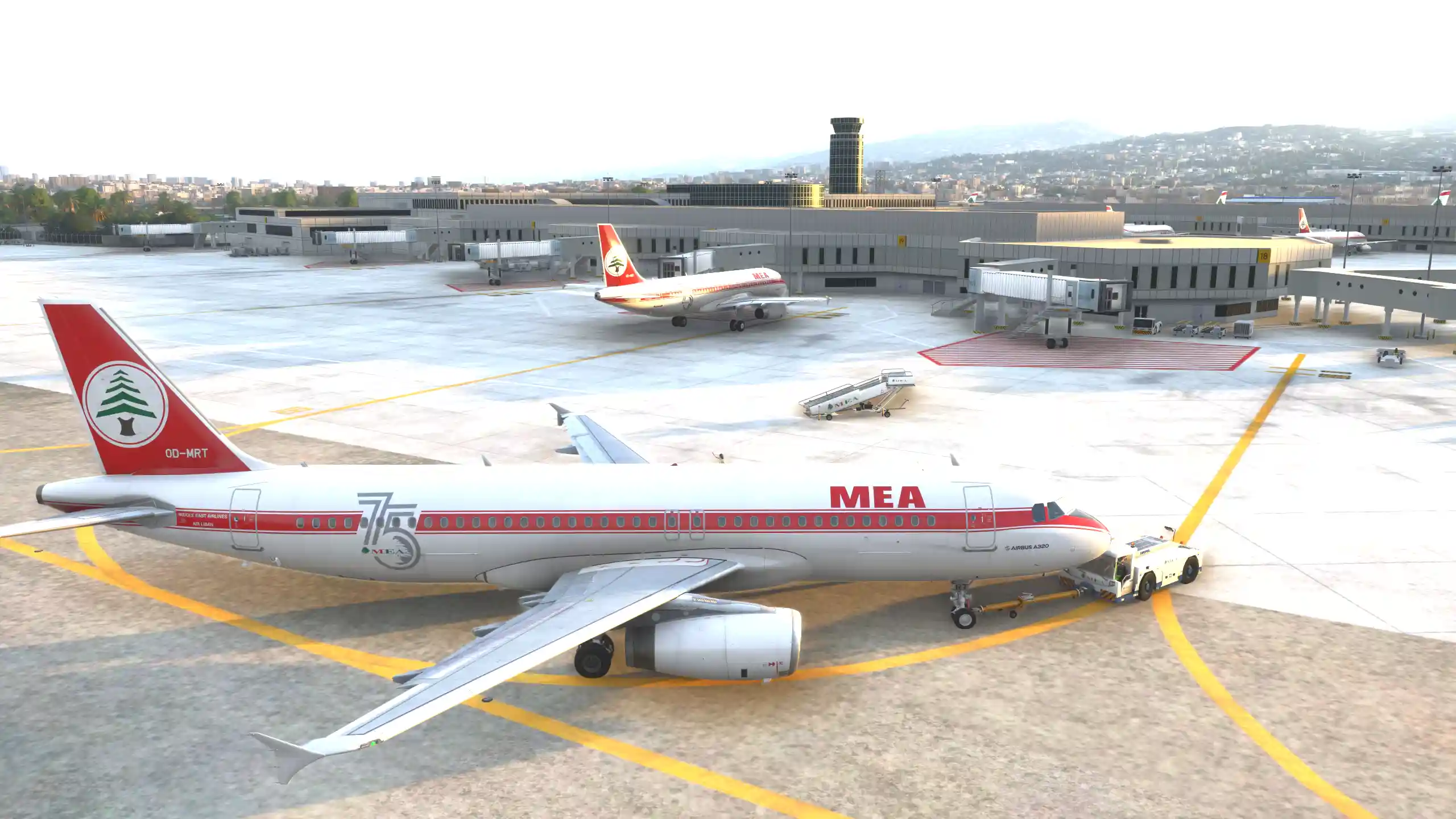 Flight Image