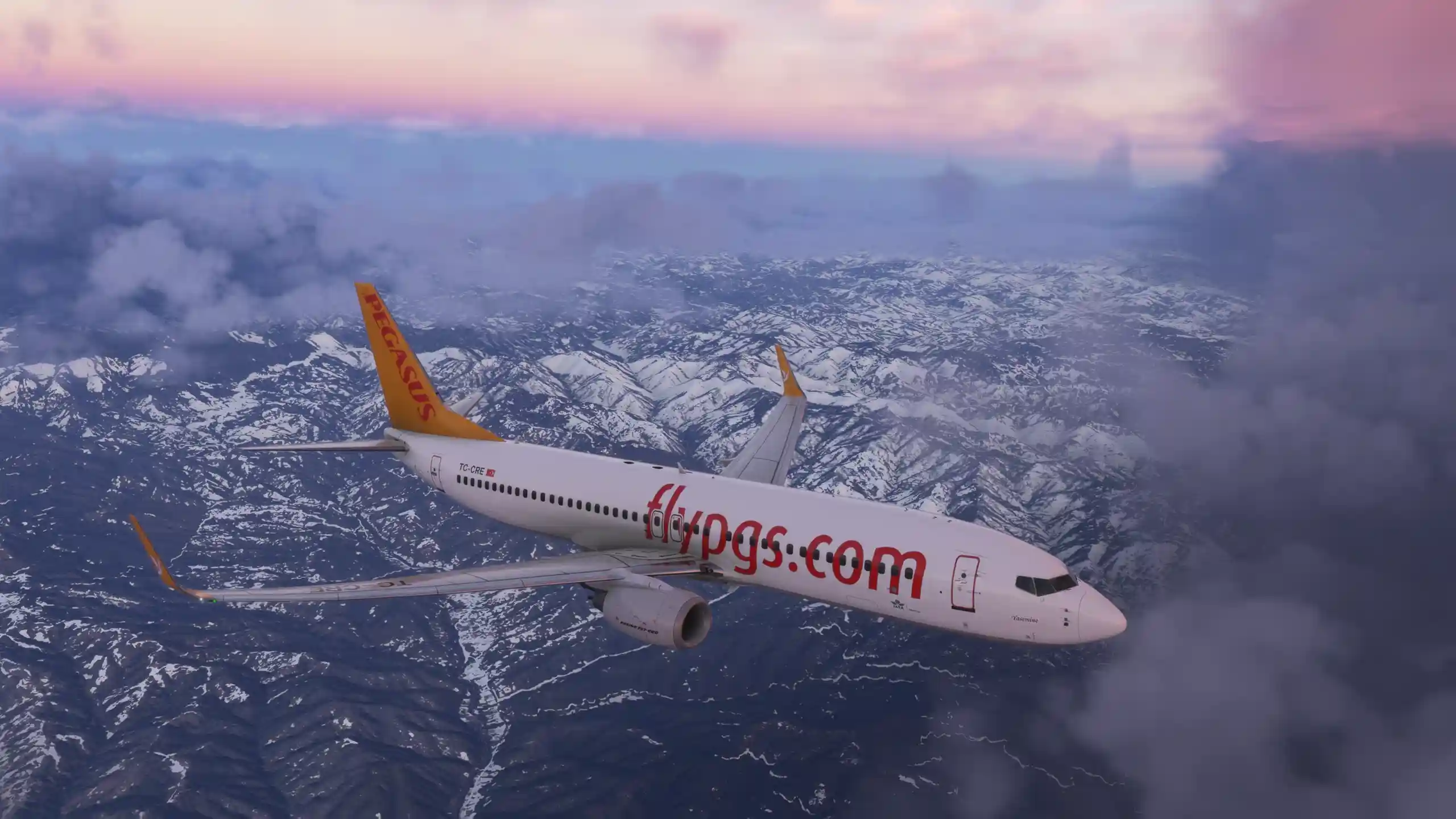 Flight Image