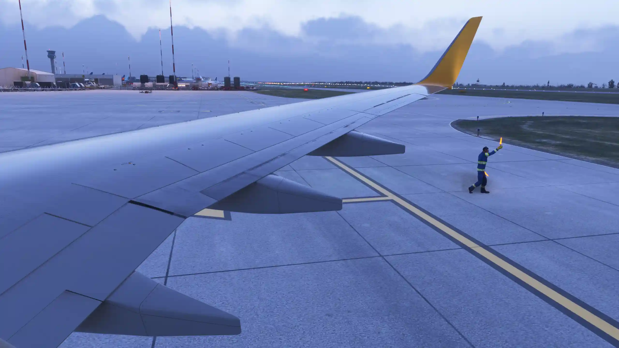 Flight Image