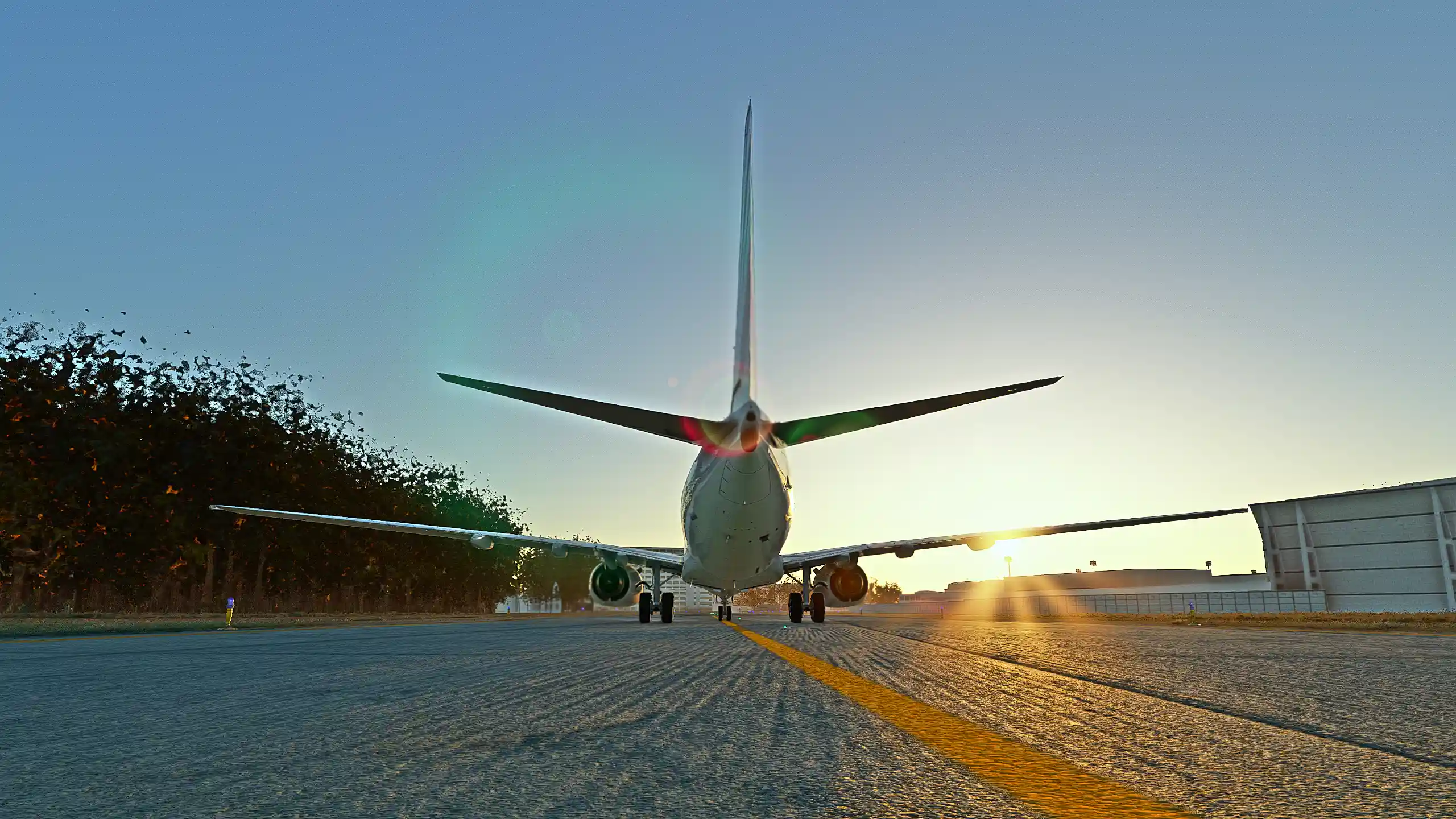 Flight Image