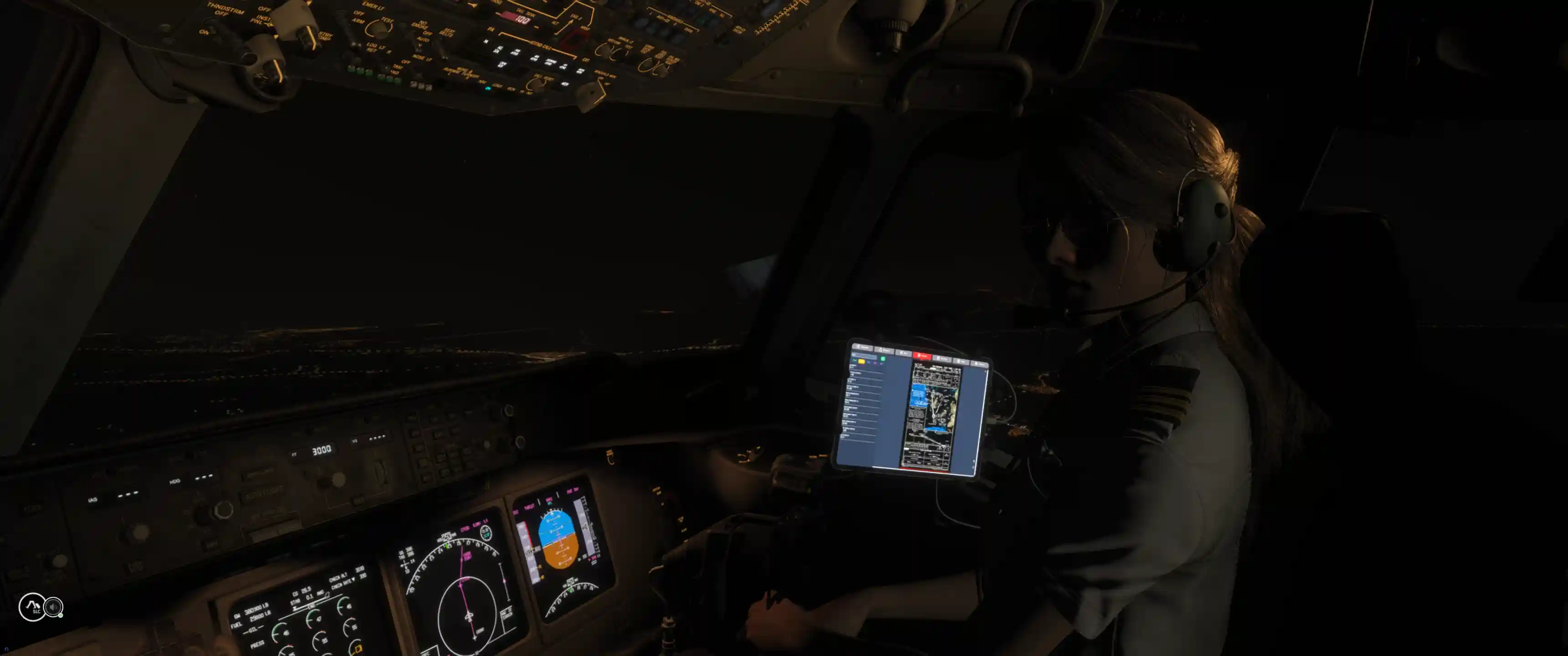 Flight Image